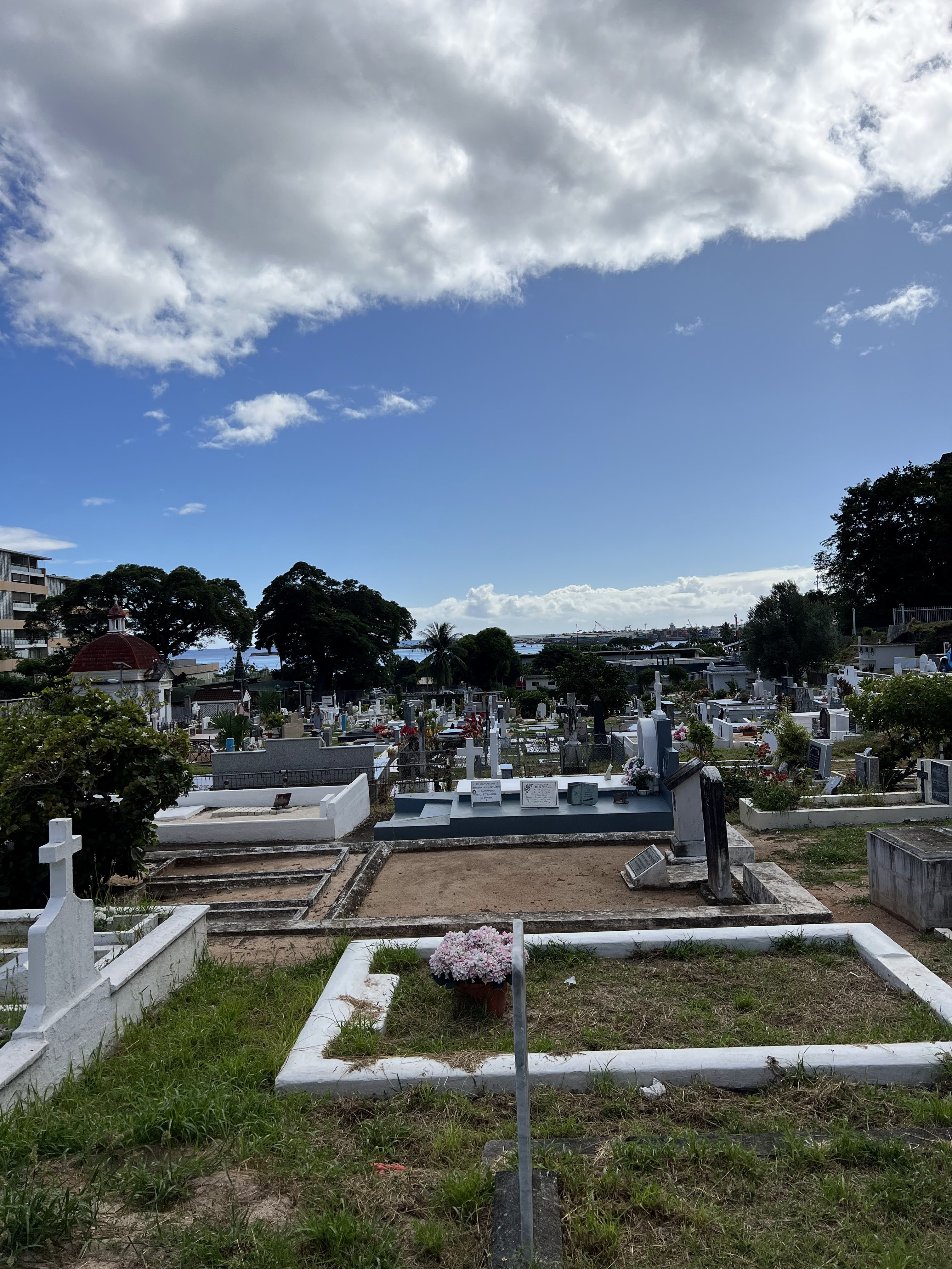 2022 Tahiti Taravao HXP - Day 14 (Cleaning up Papeete Urania Cemetery, Ordering 