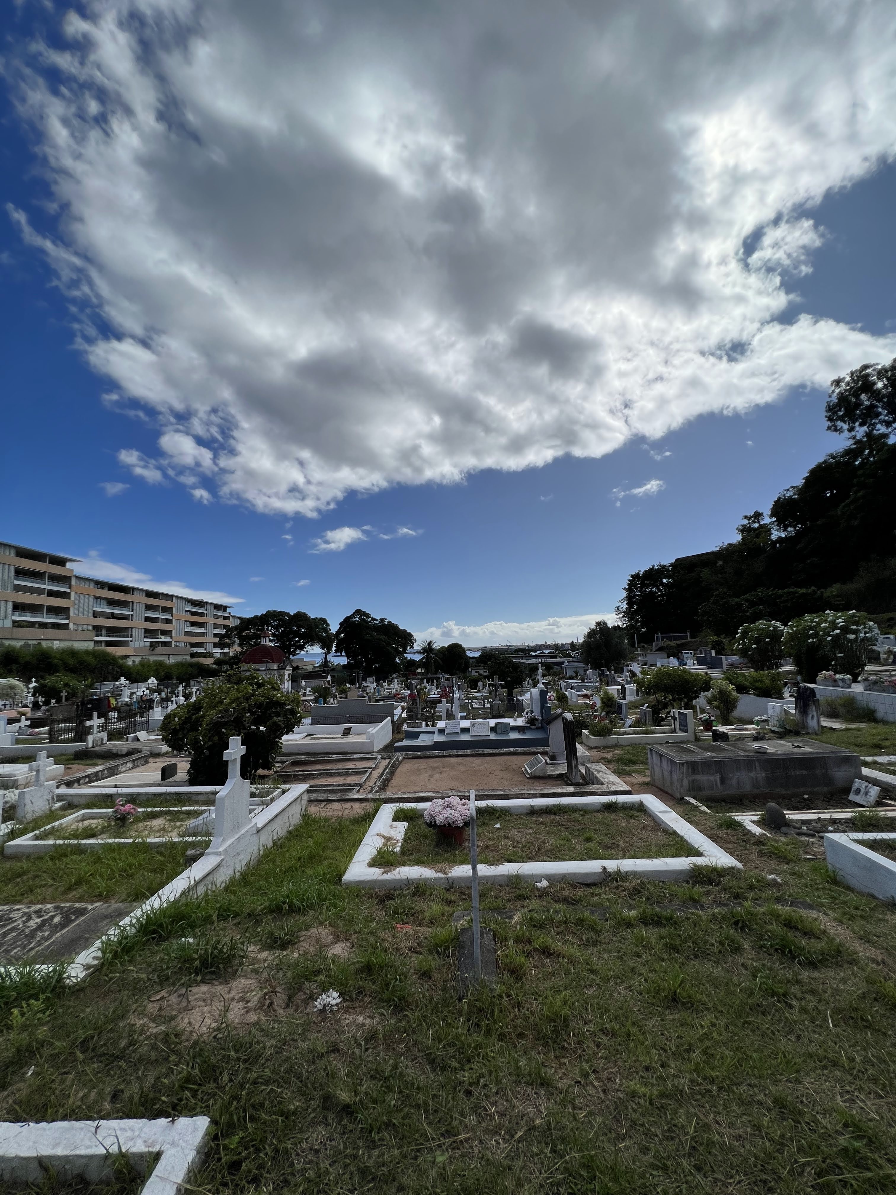 2022 Tahiti Taravao HXP - Day 14 (Cleaning up Papeete Urania Cemetery, Ordering 