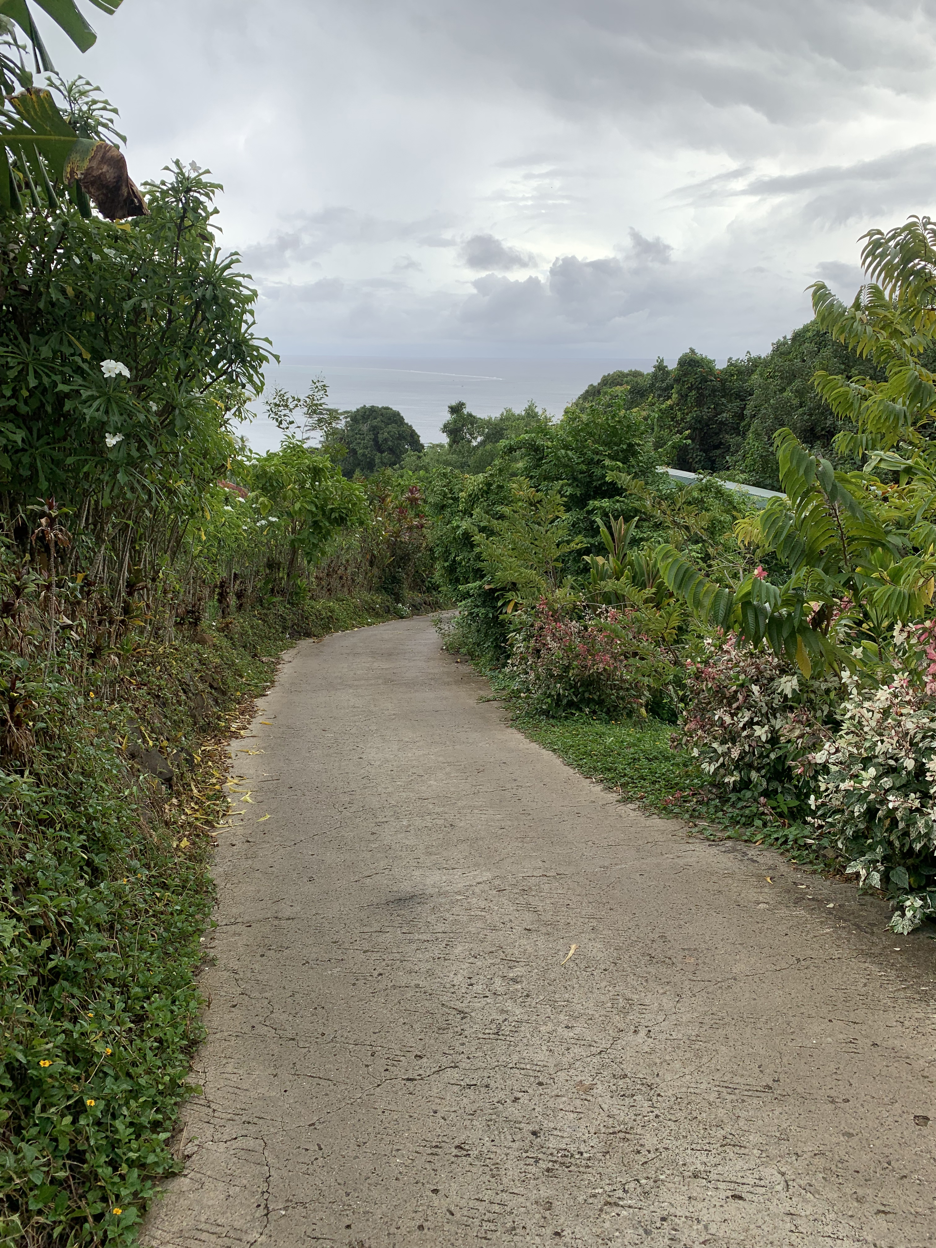 2022 Tahiti Taravao HXP - Day 2 (Arrival in Tahiti!, Narii & Escuela Teach us a Tahitian Dance, Ferry to Mo'orea / Moorea, Hiking, 18 in Small Truck, Va'a Canoes, Crepes)