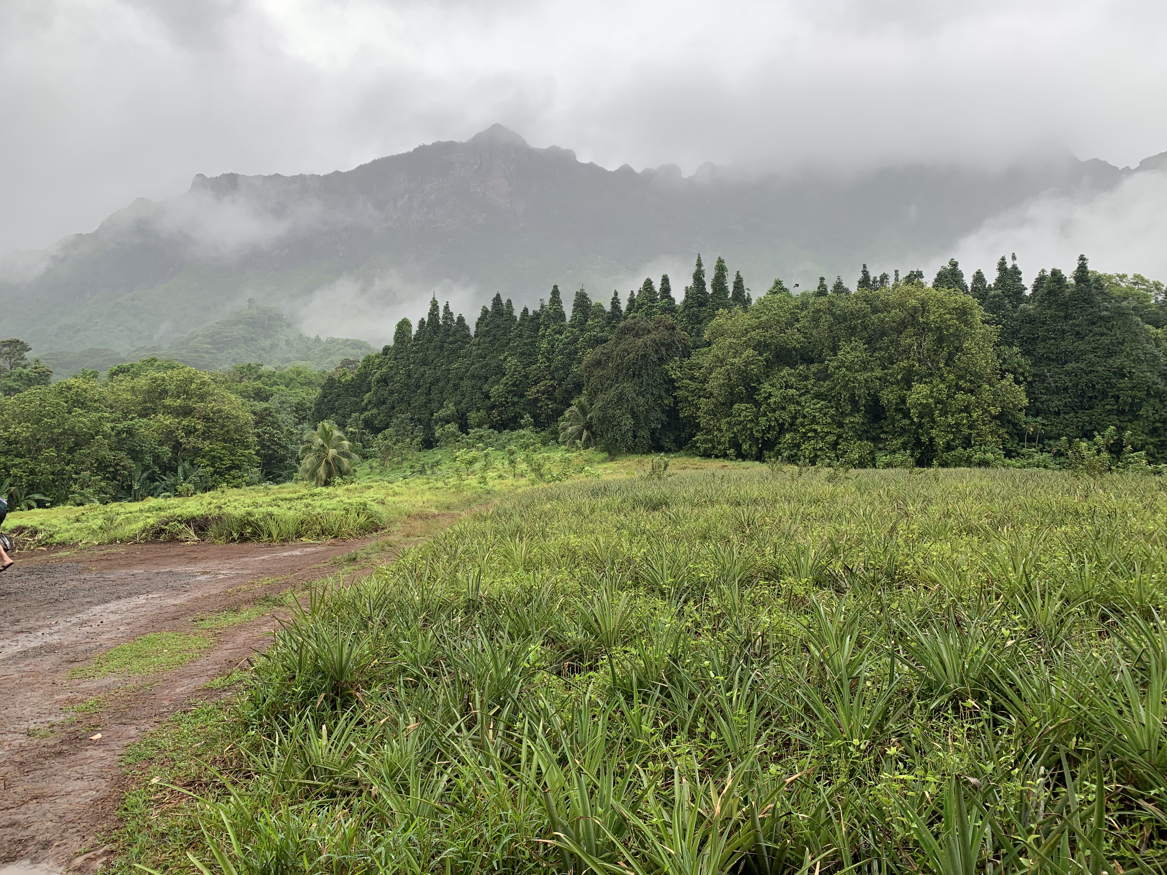 2022 Tahiti Taravao HXP - Day 2 (Arrival in Tahiti!, Narii & Escuela Teach us a Tahitian Dance, Ferry to Mo'orea / Moorea, Hiking, 18 in Small Truck, Va'a Canoes, Crepes)