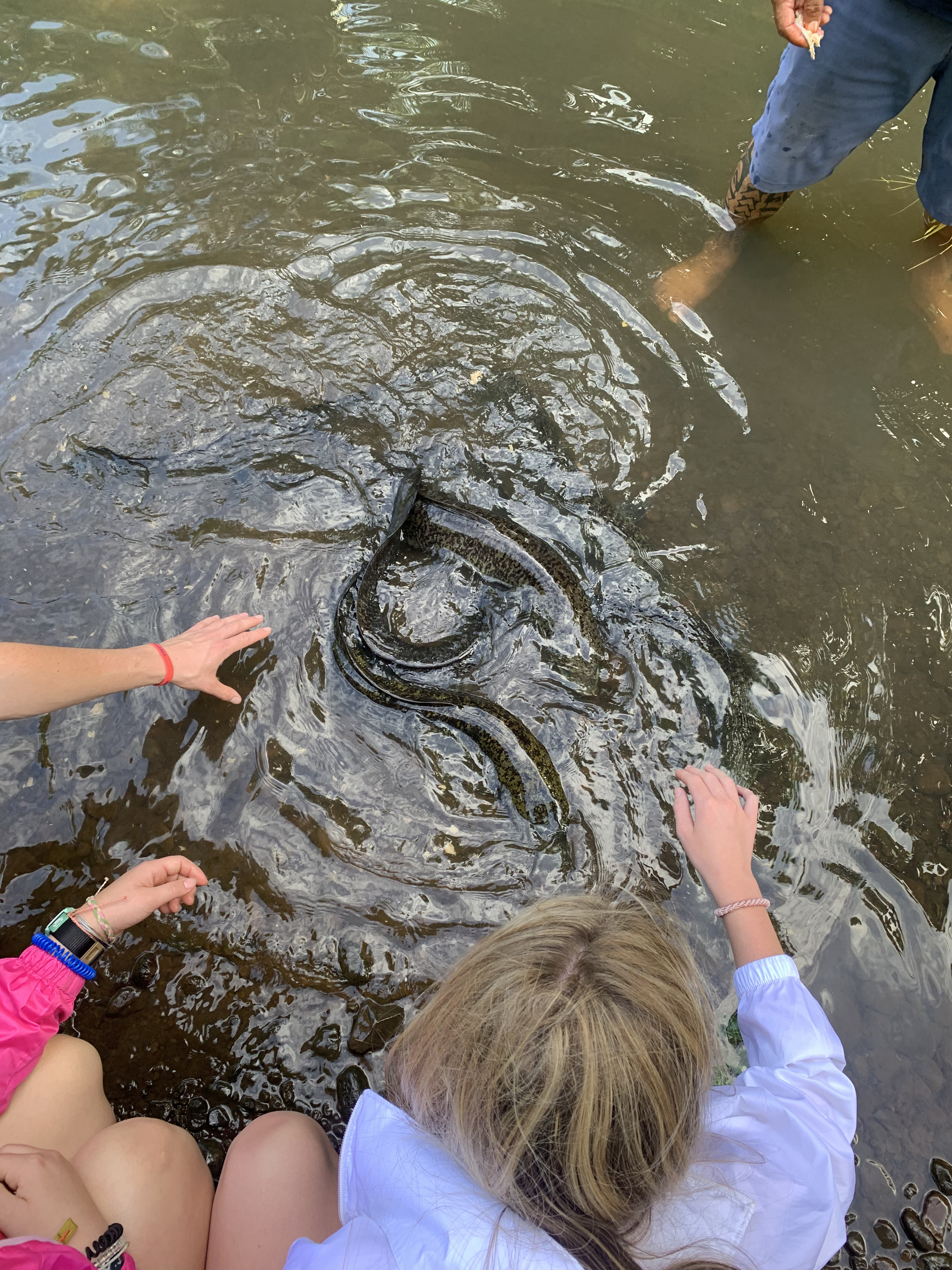 2022 Tahiti Taravao HXP - Day 3 (Devotional, Moorea Jeep Safari, Magic Mountain Overlook, Jam Tasting, Belvedere Lookout, Marae-o-Mahine, Touching Sacred Eels, Fresh Pineapple & Coconut, Making Headbands, Beach Games, Tahitian Dance & Fire Show)