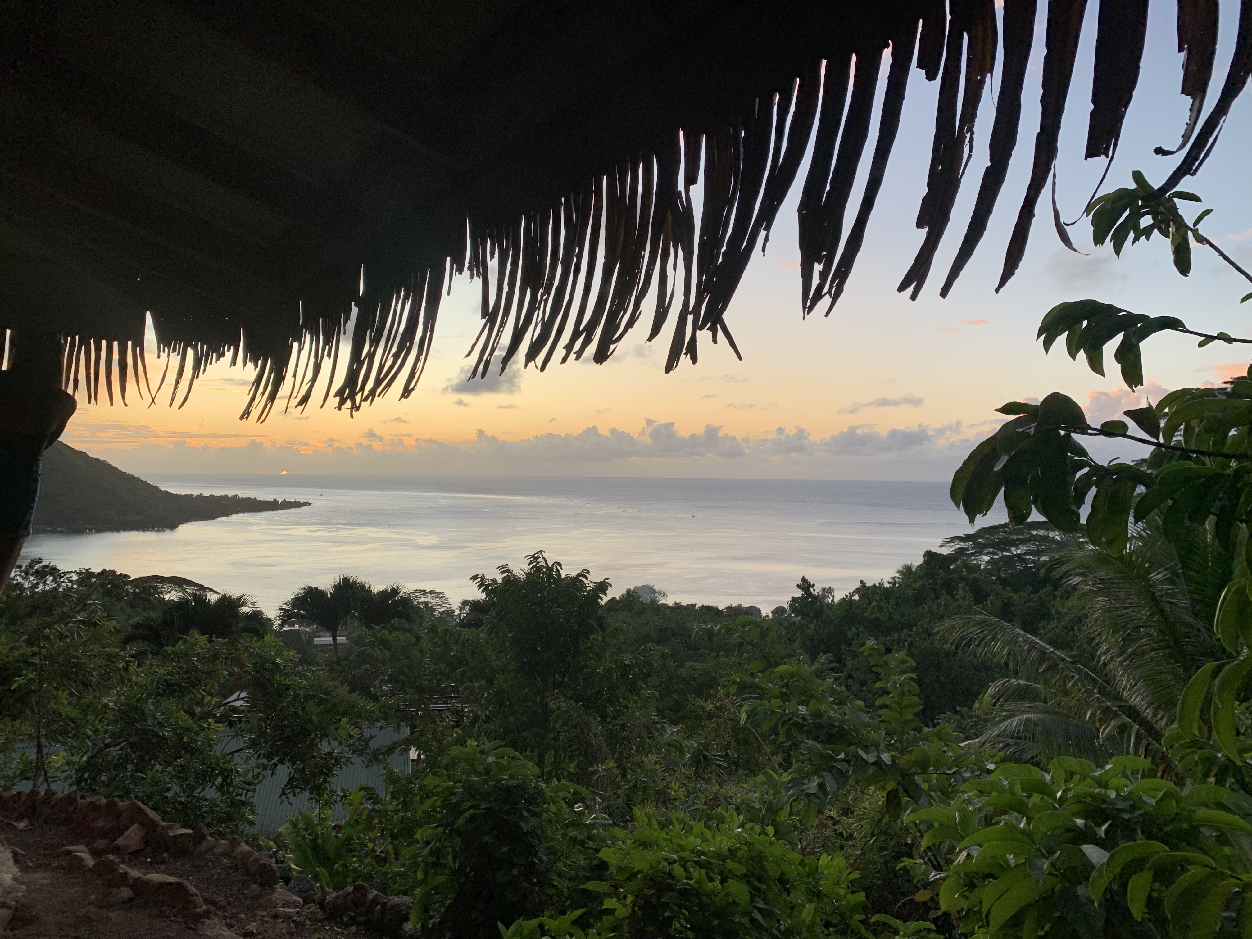 2022 Tahiti Taravao HXP - Day 3 (Devotional, Moorea Jeep Safari, Magic Mountain Overlook, Jam Tasting, Belvedere Lookout, Marae-o-Mahine, Touching Sacred Eels, Fresh Pineapple & Coconut, Making Headbands, Beach Games, Tahitian Dance & Fire Show)