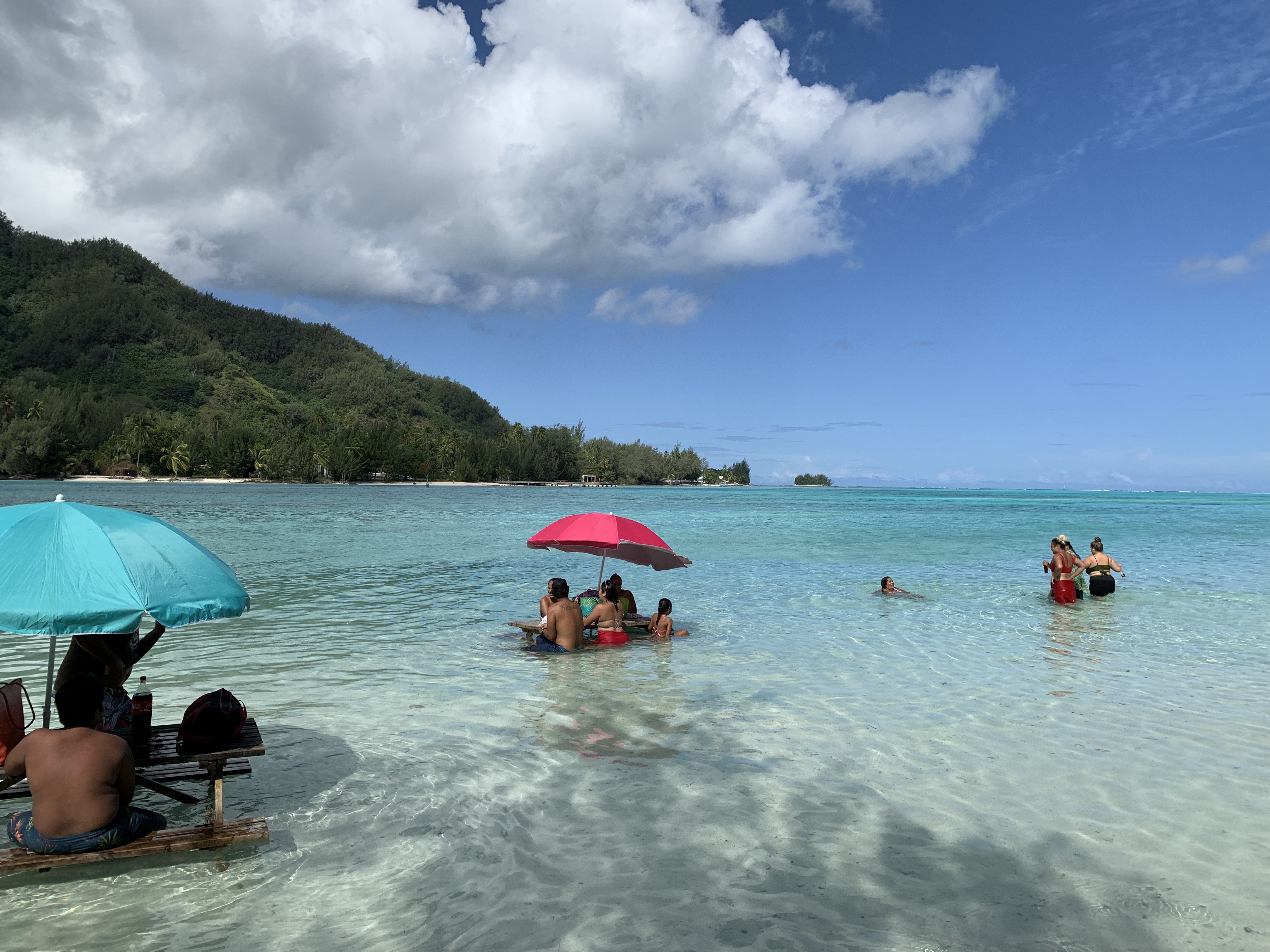 2022 Tahiti Taravao HXP - Day 4 (Kass's Birthday, Swimming with Sharks & Stingrays, Motu Fareone Island, Making Motu Fareone (E'ia Ota), Catching Crabs for 'Alca-Crab', Dance Party on Ferry to Tahiti, Catching Geckos)