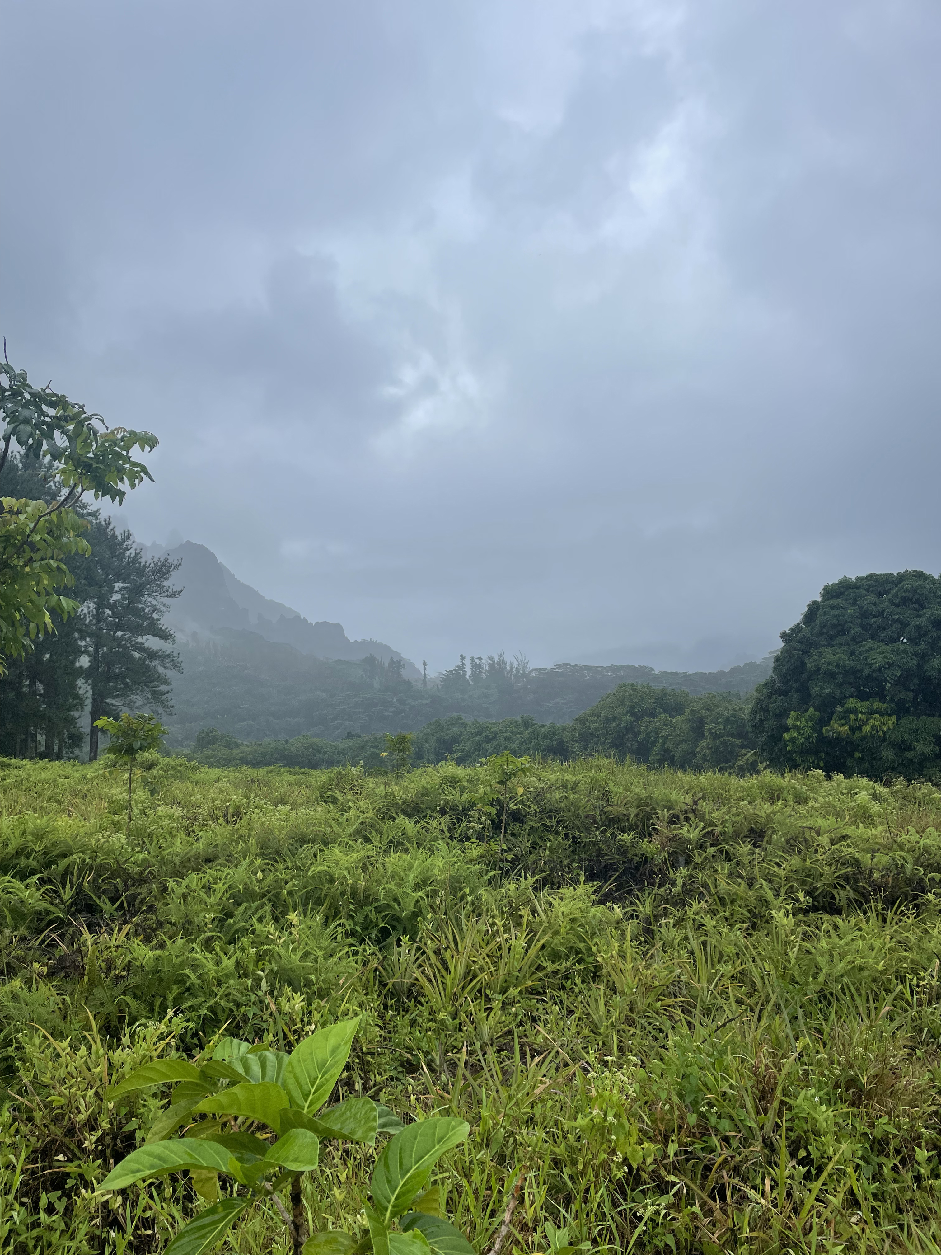 2022 Tahiti Taravao HXP - Day 2 (Arrival in Tahiti!, Narii & Escuela Teach us a Tahitian Dance, Ferry to Mo'orea / Moorea, Hiking, 18 in Small Truck, Va'a Canoes, Crepes)