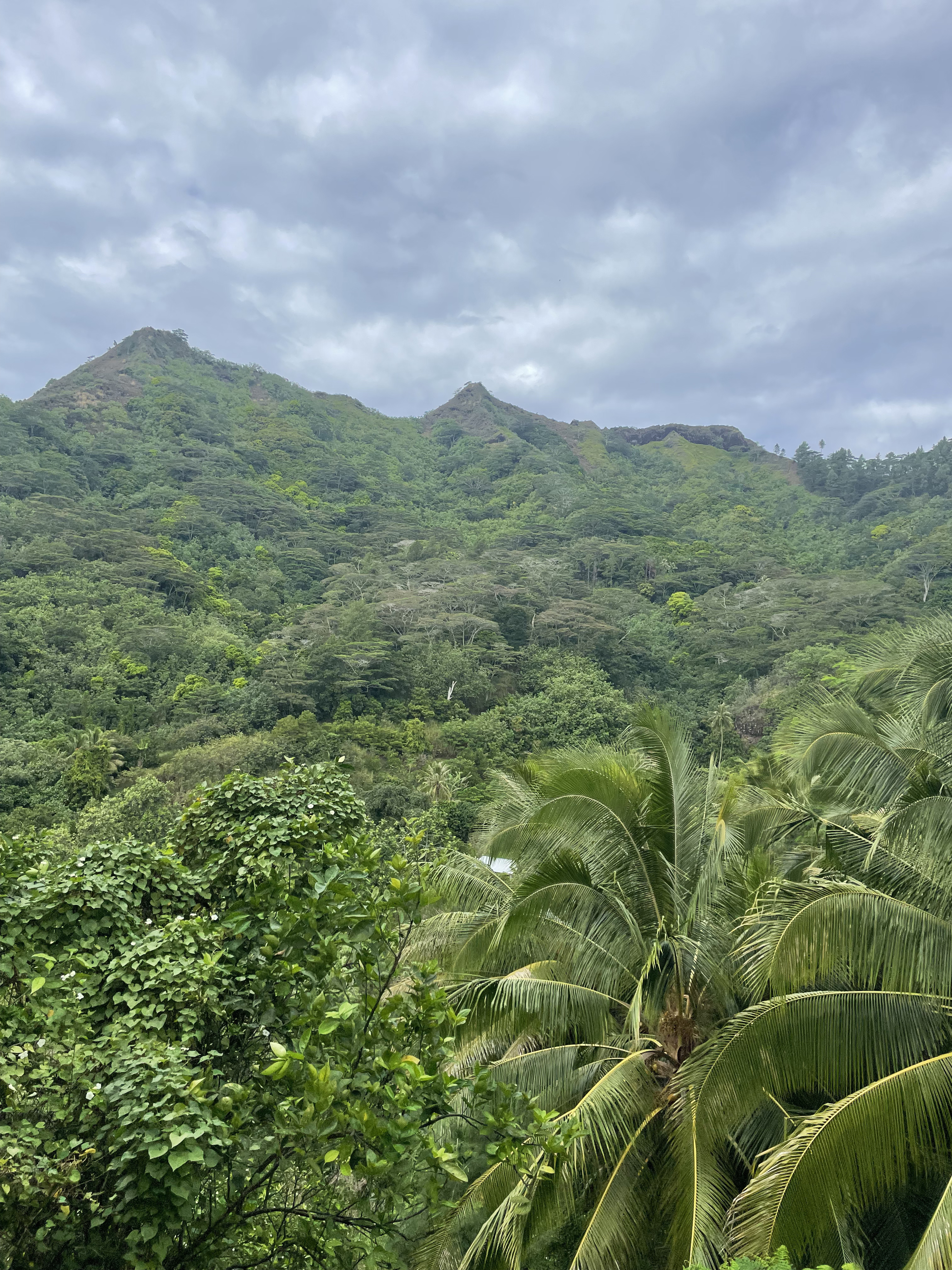 2022 Tahiti Taravao HXP - Day 3 (Devotional, Moorea Jeep Safari, Magic Mountain Overlook, Jam Tasting, Belvedere Lookout, Marae-o-Mahine, Touching Sacred Eels, Fresh Pineapple & Coconut, Making Headbands, Beach Games, Tahitian Dance & Fire Show)