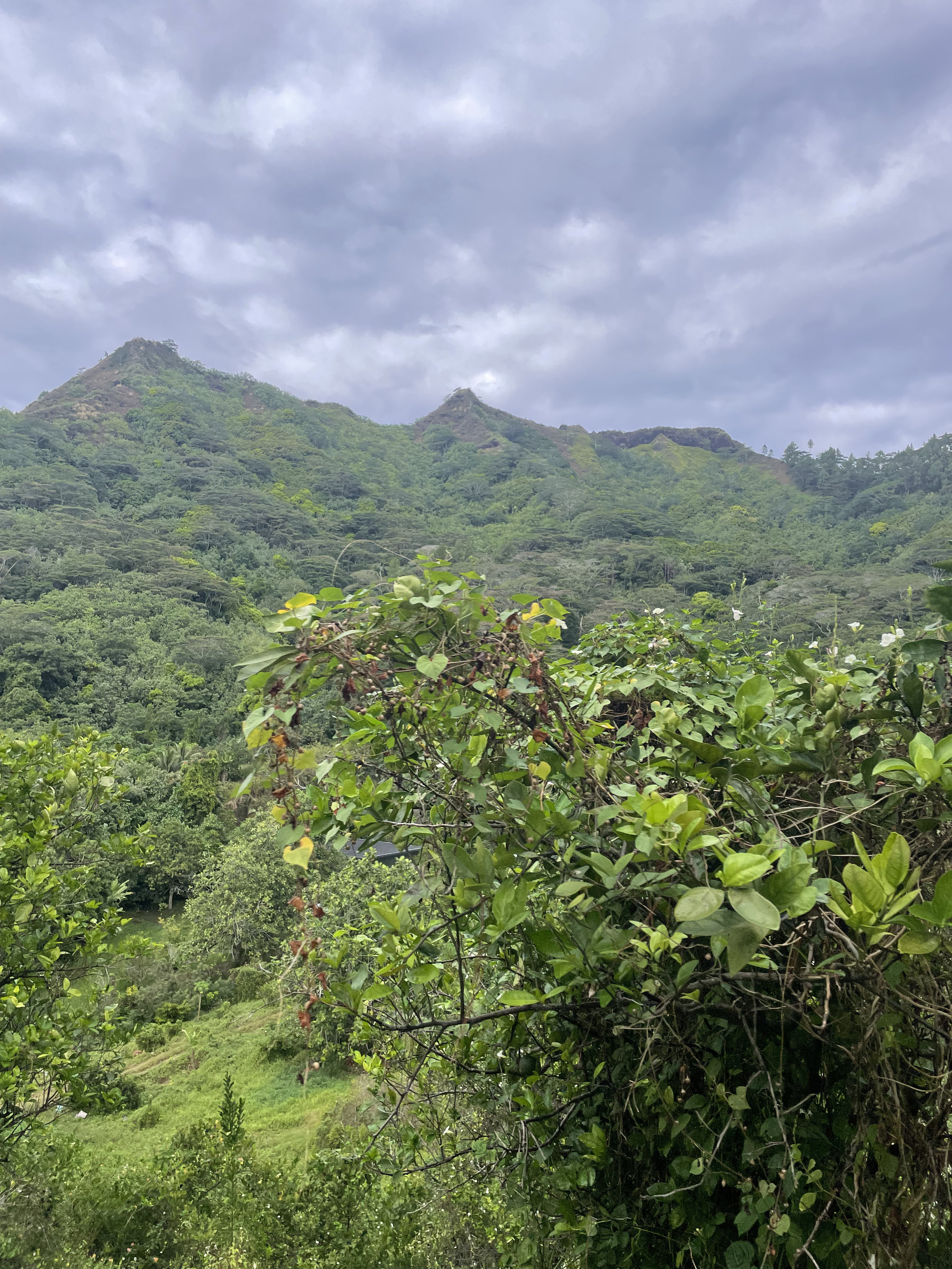 2022 Tahiti Taravao HXP - Day 3 (Devotional, Moorea Jeep Safari, Magic Mountain Overlook, Jam Tasting, Belvedere Lookout, Marae-o-Mahine, Touching Sacred Eels, Fresh Pineapple & Coconut, Making Headbands, Beach Games, Tahitian Dance & Fire Show)