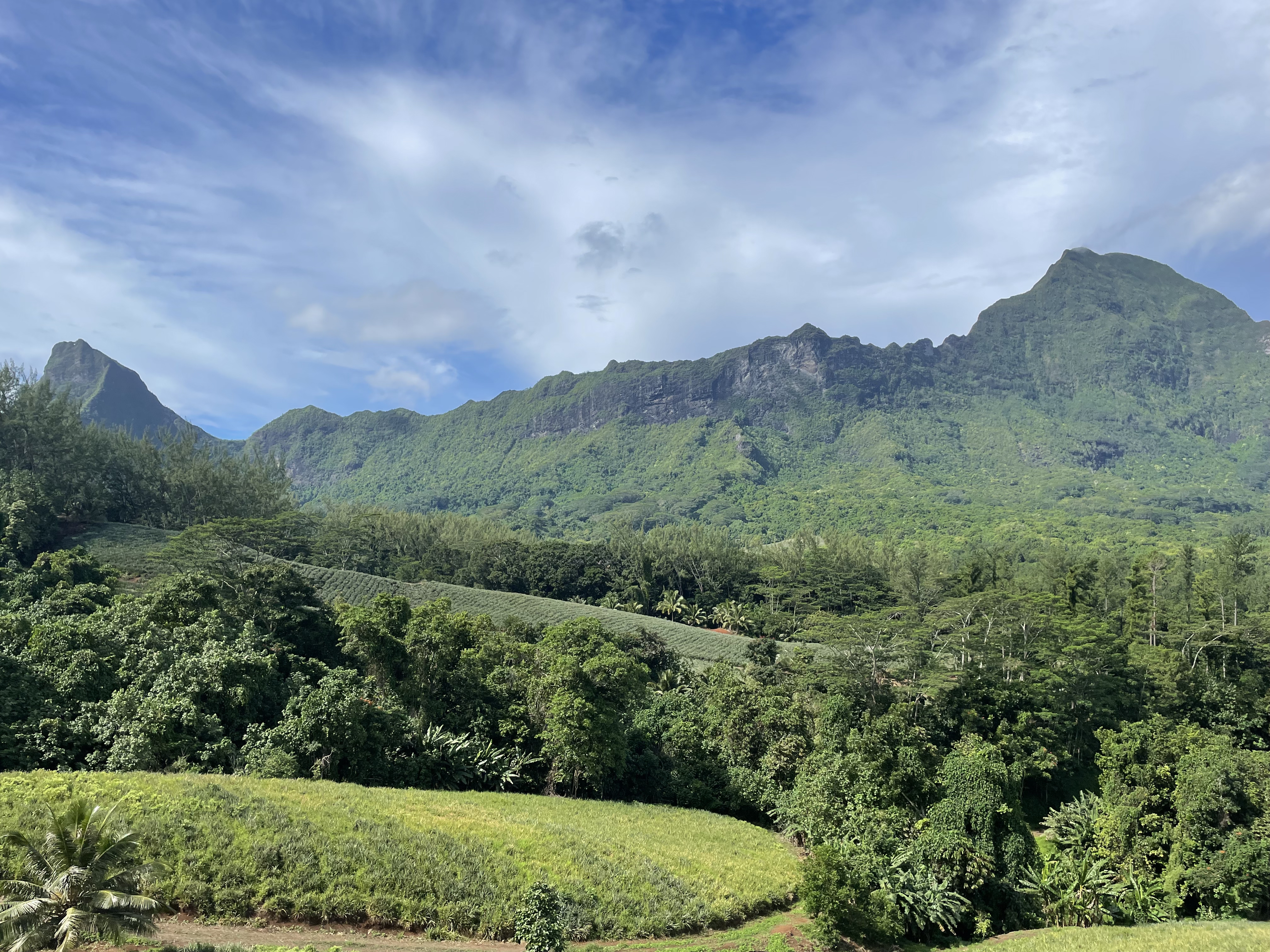 2022 Tahiti Taravao HXP - Day 3 (Devotional, Moorea Jeep Safari, Magic Mountain Overlook, Jam Tasting, Belvedere Lookout, Marae-o-Mahine, Touching Sacred Eels, Fresh Pineapple & Coconut, Making Headbands, Beach Games, Tahitian Dance & Fire Show)