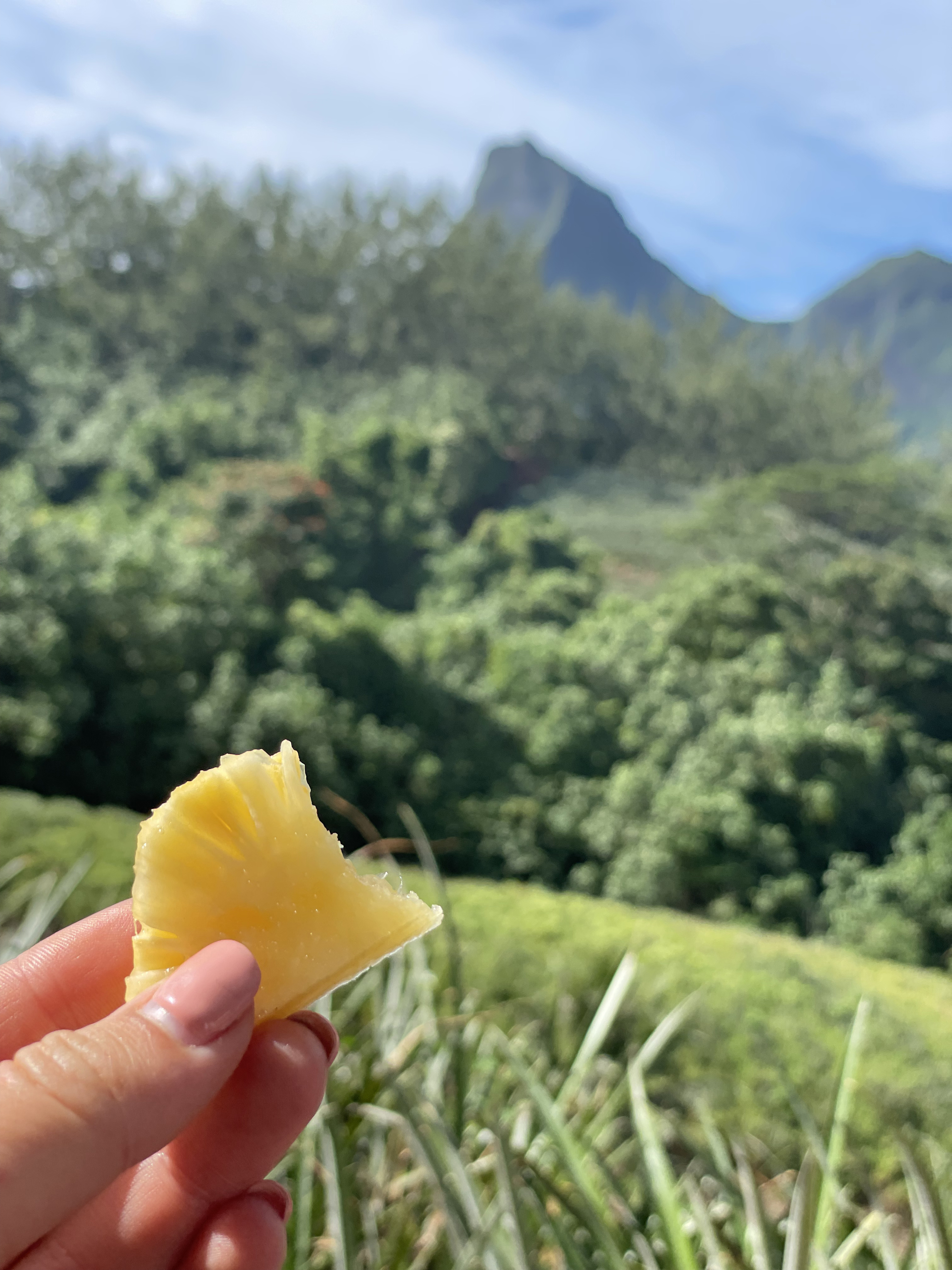 2022 Tahiti Taravao HXP - Day 3 (Devotional, Moorea Jeep Safari, Magic Mountain Overlook, Jam Tasting, Belvedere Lookout, Marae-o-Mahine, Touching Sacred Eels, Fresh Pineapple & Coconut, Making Headbands, Beach Games, Tahitian Dance & Fire Show)