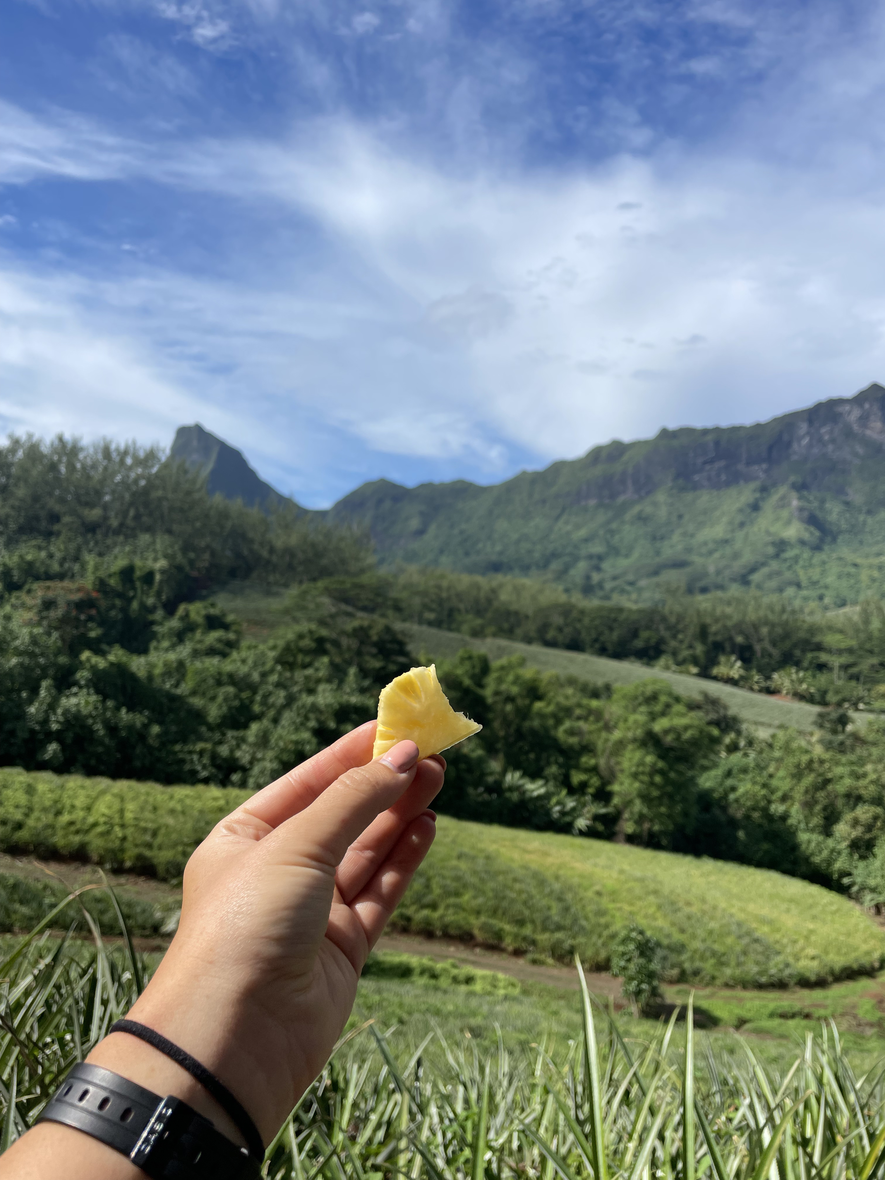 2022 Tahiti Taravao HXP - Day 3 (Devotional, Moorea Jeep Safari, Magic Mountain Overlook, Jam Tasting, Belvedere Lookout, Marae-o-Mahine, Touching Sacred Eels, Fresh Pineapple & Coconut, Making Headbands, Beach Games, Tahitian Dance & Fire Show)