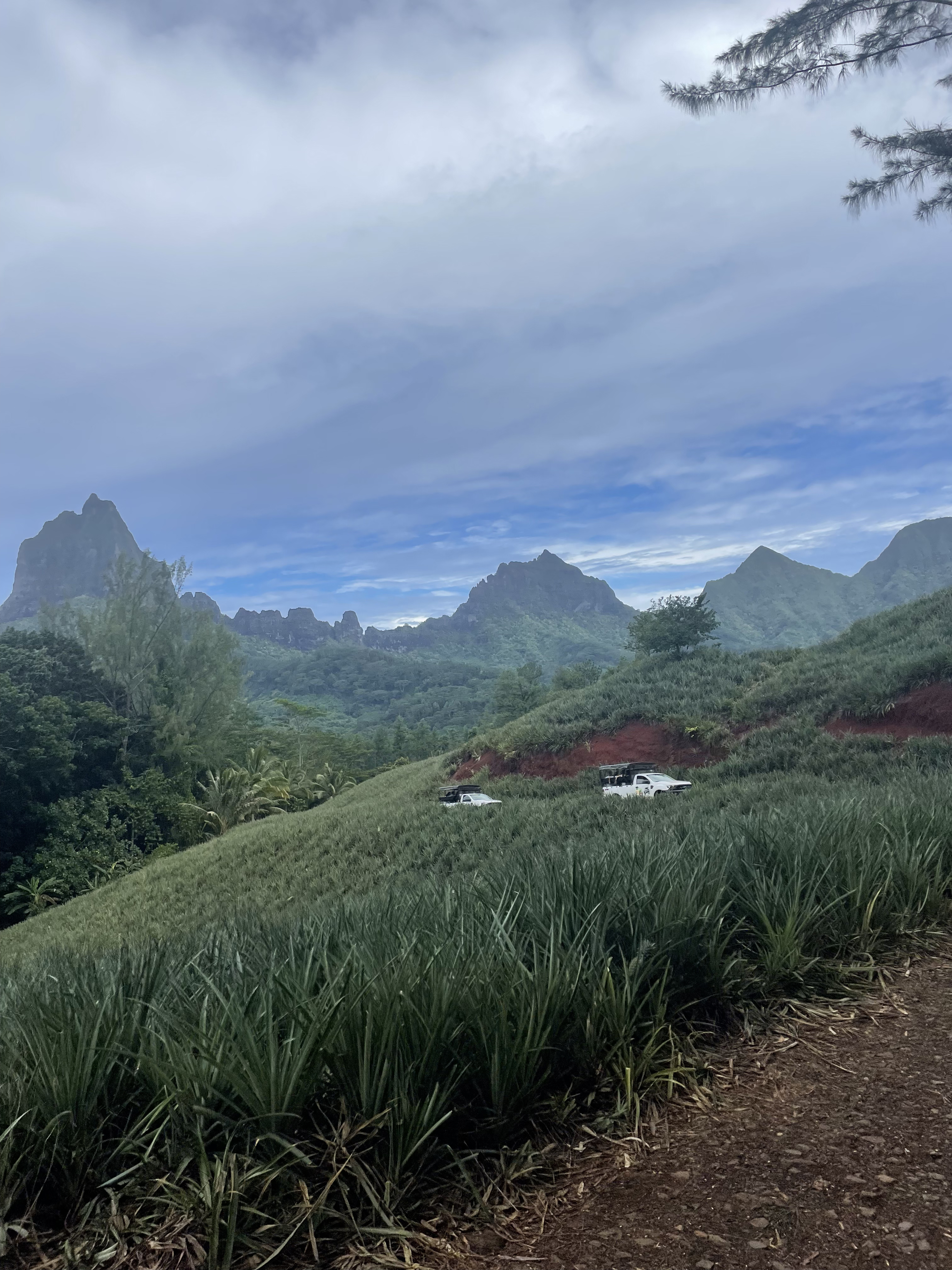 2022 Tahiti Taravao HXP - Day 3 (Devotional, Moorea Jeep Safari, Magic Mountain Overlook, Jam Tasting, Belvedere Lookout, Marae-o-Mahine, Touching Sacred Eels, Fresh Pineapple & Coconut, Making Headbands, Beach Games, Tahitian Dance & Fire Show)