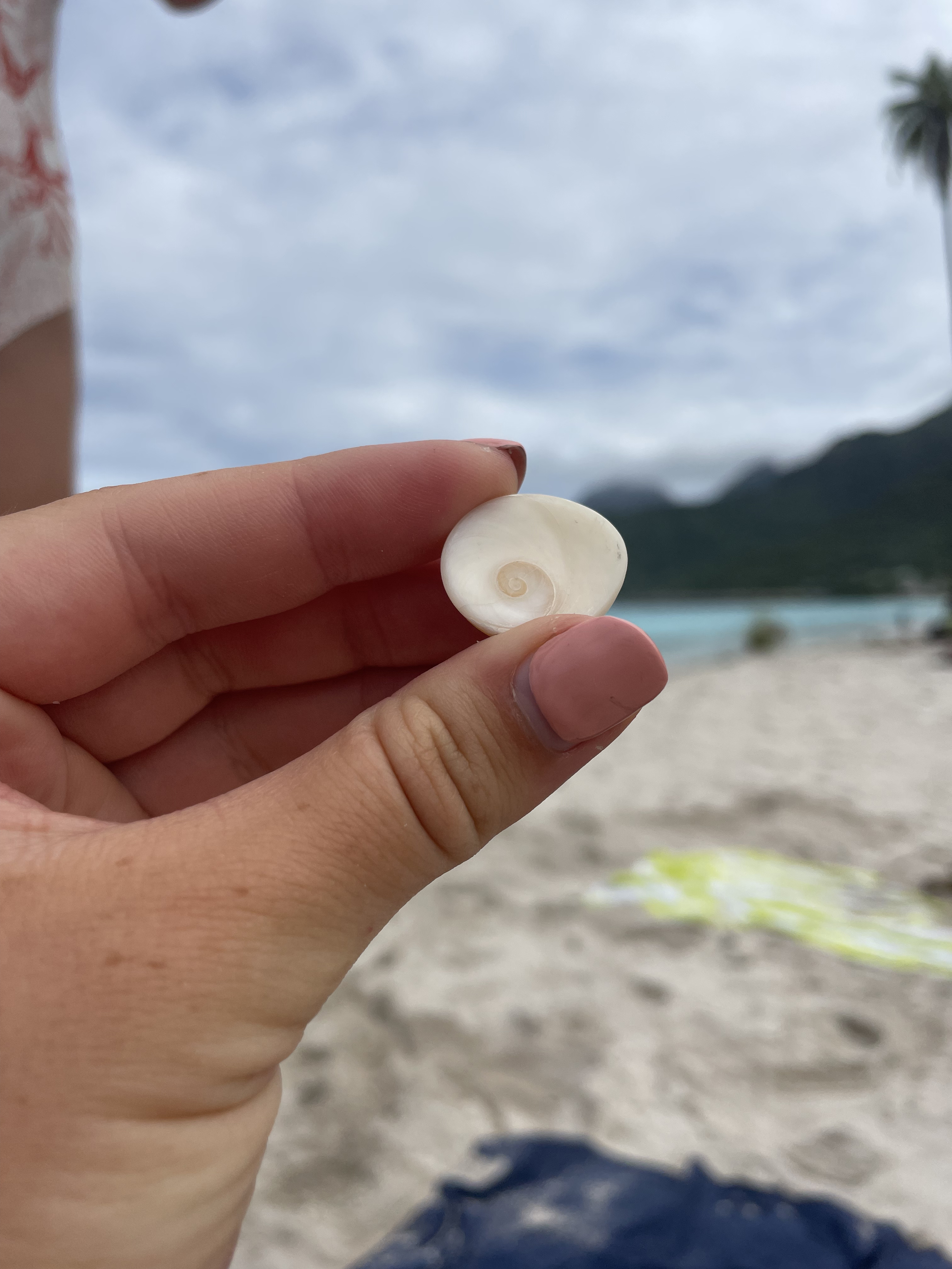 2022 Tahiti Taravao HXP - Day 3 (Devotional, Moorea Jeep Safari, Magic Mountain Overlook, Jam Tasting, Belvedere Lookout, Marae-o-Mahine, Touching Sacred Eels, Fresh Pineapple & Coconut, Making Headbands, Beach Games, Tahitian Dance & Fire Show)