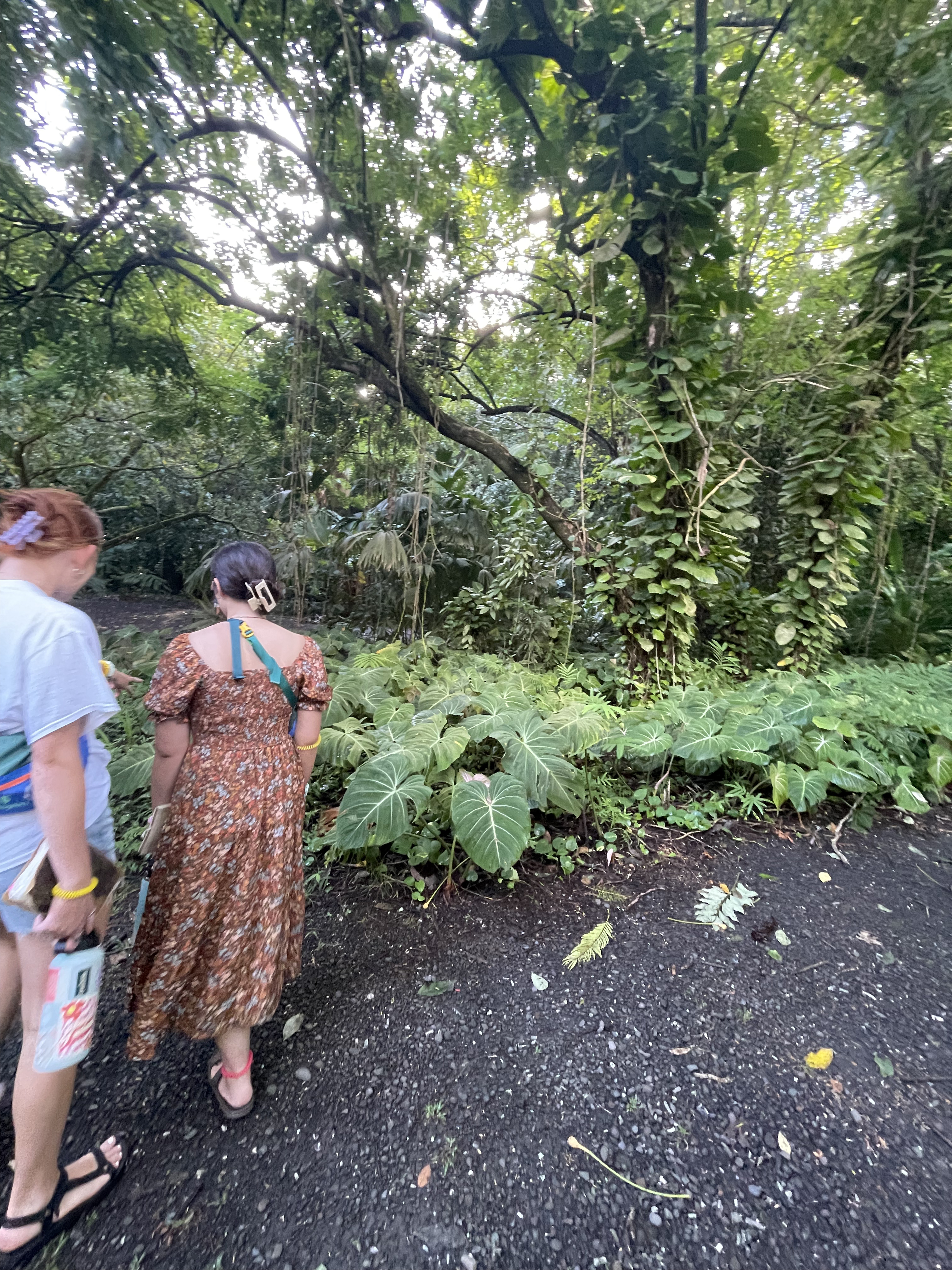 2022 Tahiti Taravao HXP - Day 5 (Staying at Hiti Moana Villa, Church with ❤ Bishop Taylor ❤, Harrison Smith Botanical Garden, Youth Activity & Dinner & Singing with the Papara Ward)