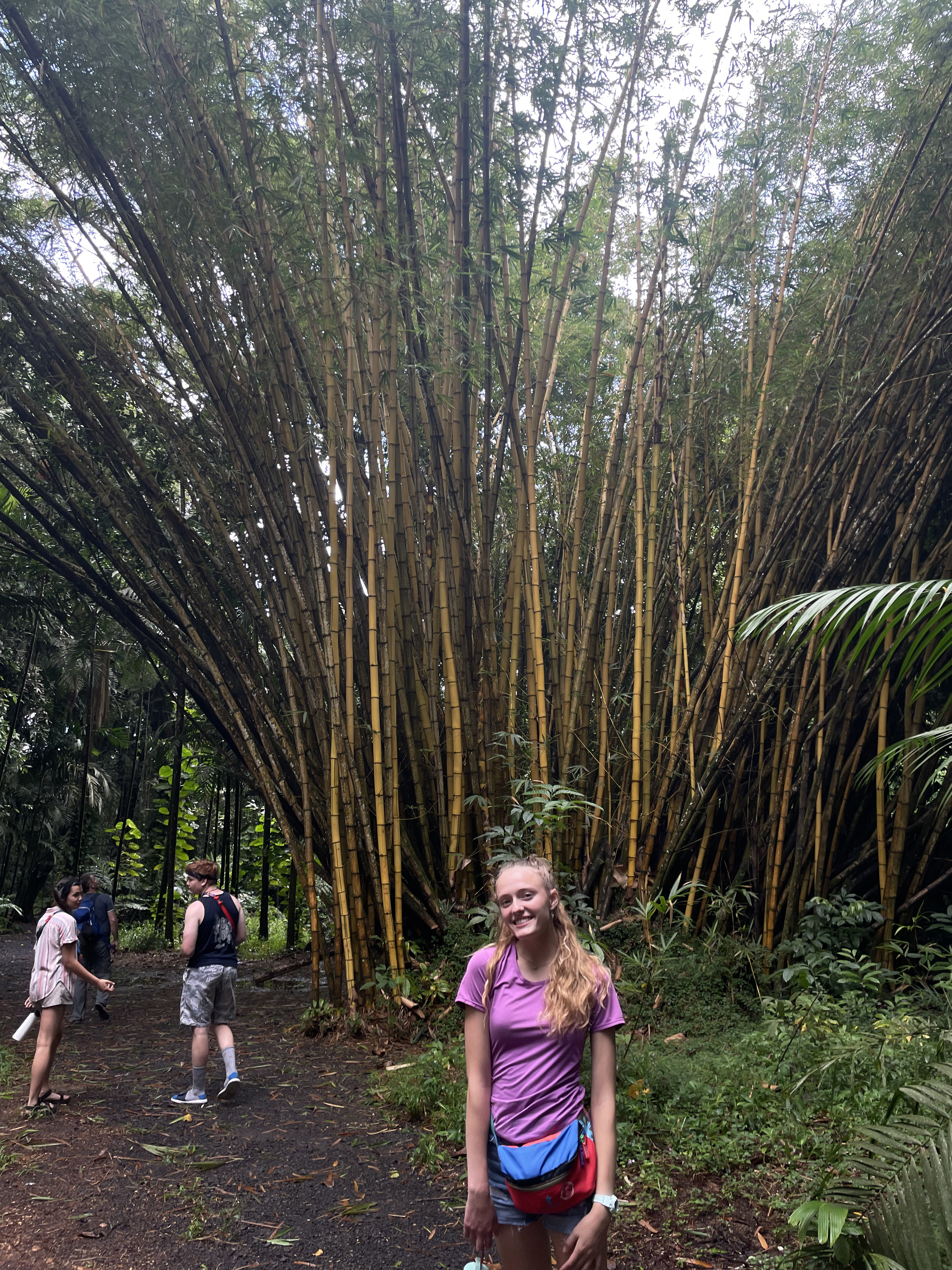 2022 Tahiti Taravao HXP - Day 5 (Staying at Hiti Moana Villa, Church with ❤ Bishop Taylor ❤, Harrison Smith Botanical Garden, Youth Activity & Dinner & Singing with the Papara Ward)