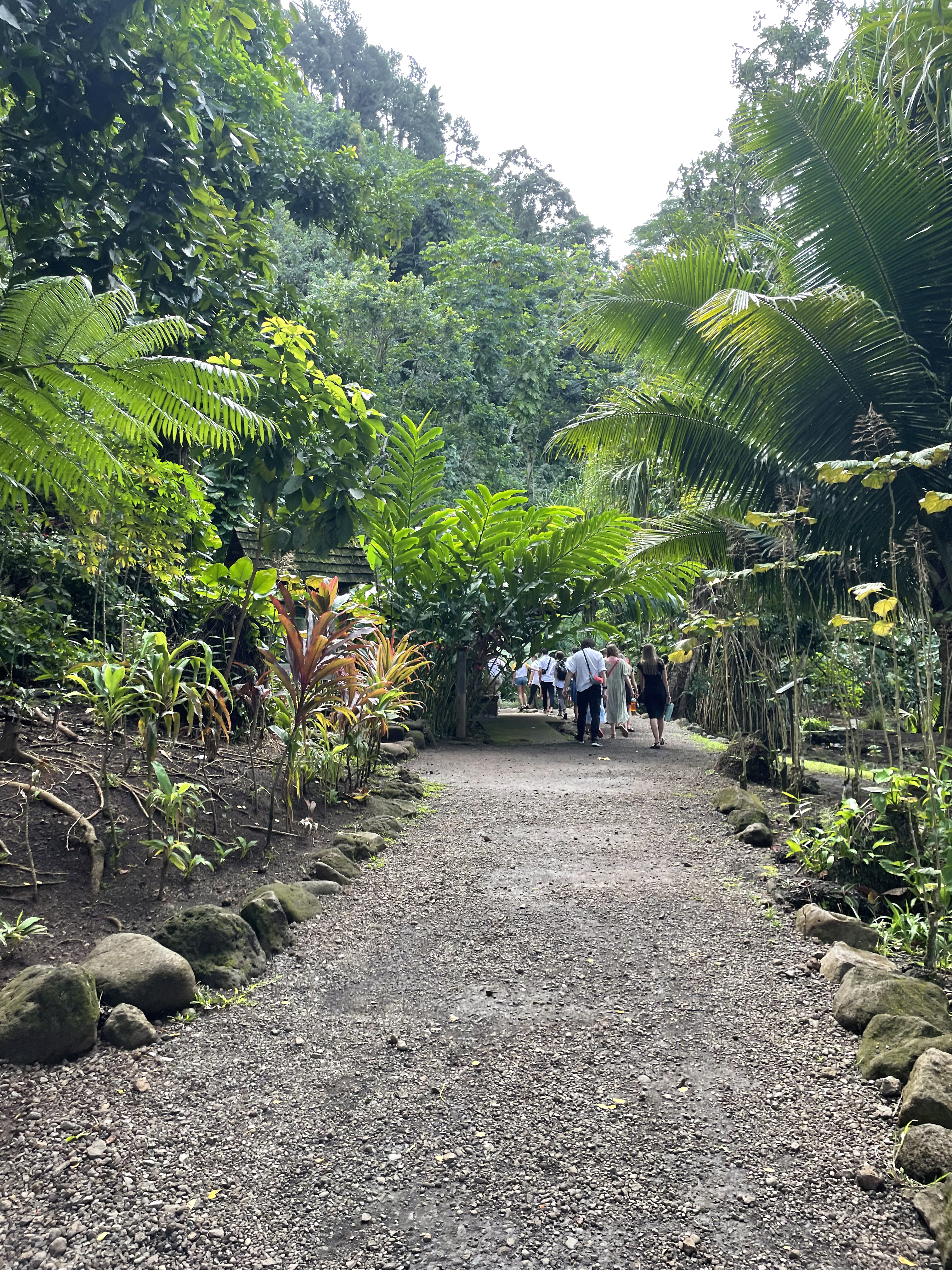 2022 Tahiti Taravao HXP - Day 12 (Church with Vaihiria Ward, Water Gardens Vaipahi Waterfall & Hike, Sacred Eels, Turtles, Haircut, Activity with Vaihiria Ward Youth, Averie's Birthday, Letters Home)