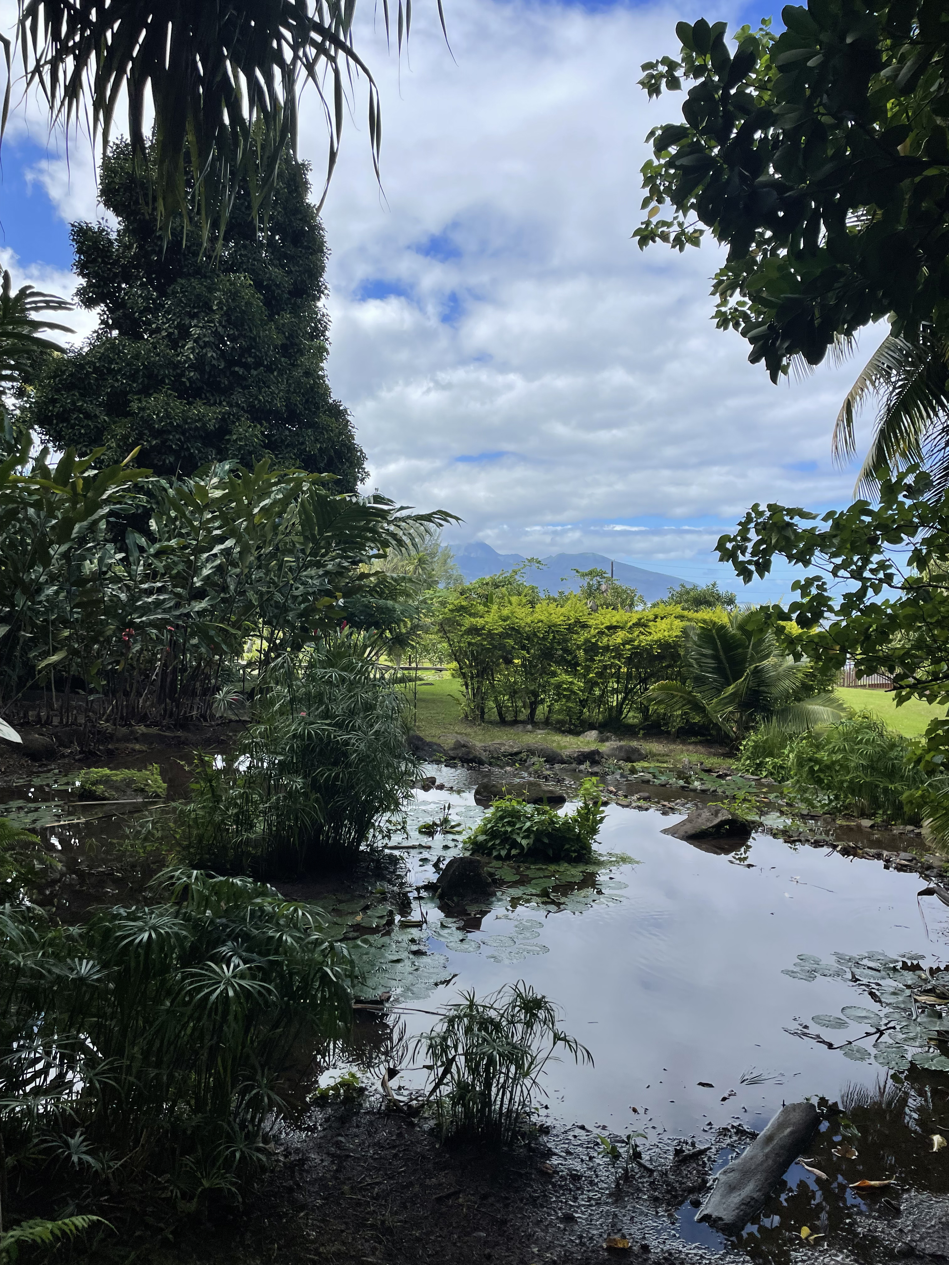 2022 Tahiti Taravao HXP - Day 12 (Church with Vaihiria Ward, Water Gardens Vaipahi Waterfall & Hike, Sacred Eels, Turtles, Haircut, Activity with Vaihiria Ward Youth, Averie's Birthday, Letters Home)