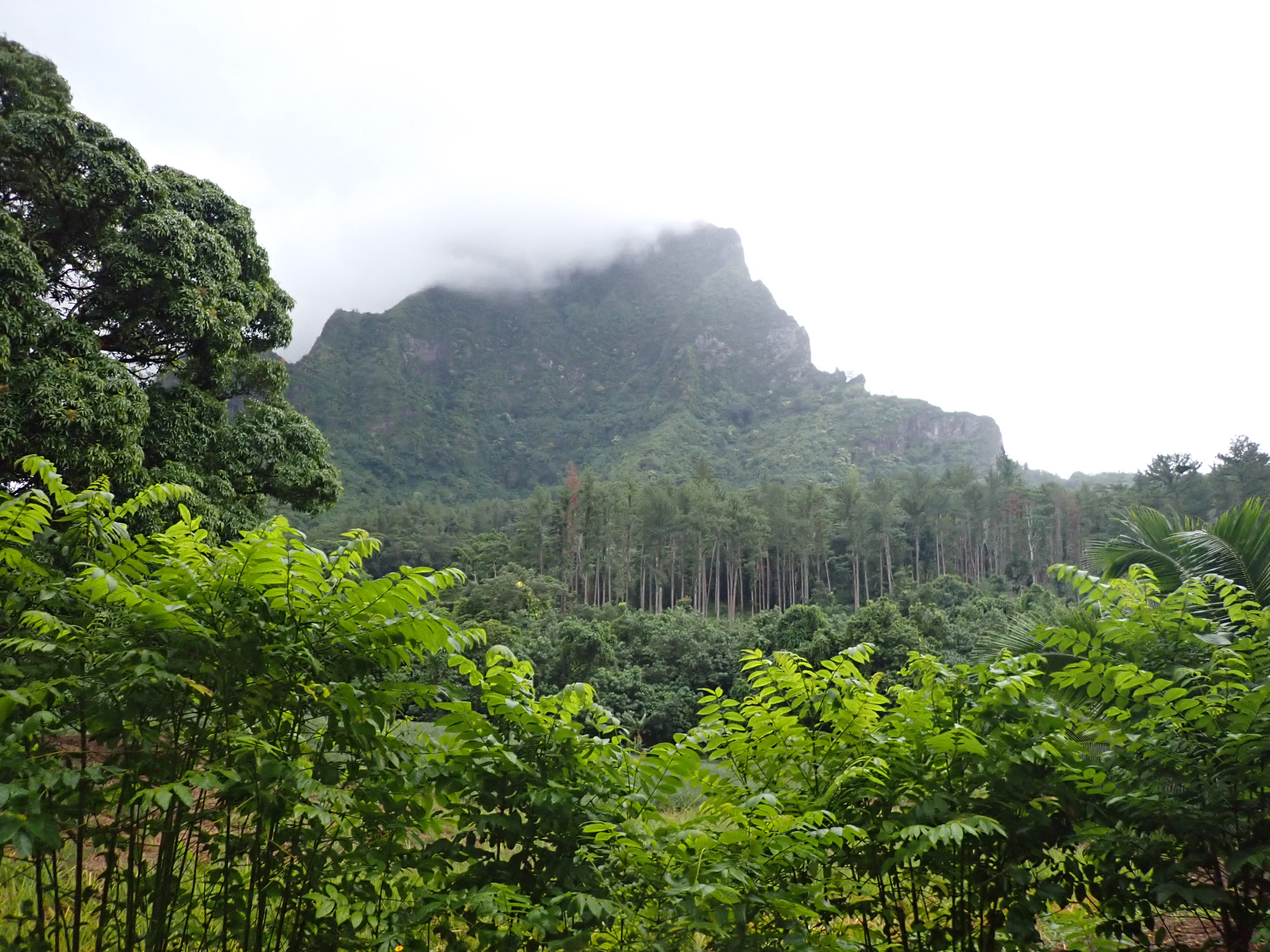 2022 Tahiti Taravao HXP - Day 2 (Arrival in Tahiti!, Narii & Escuela Teach us a Tahitian Dance, Ferry to Mo'orea / Moorea, Hiking, 18 in Small Truck, Va'a Canoes, Crepes)