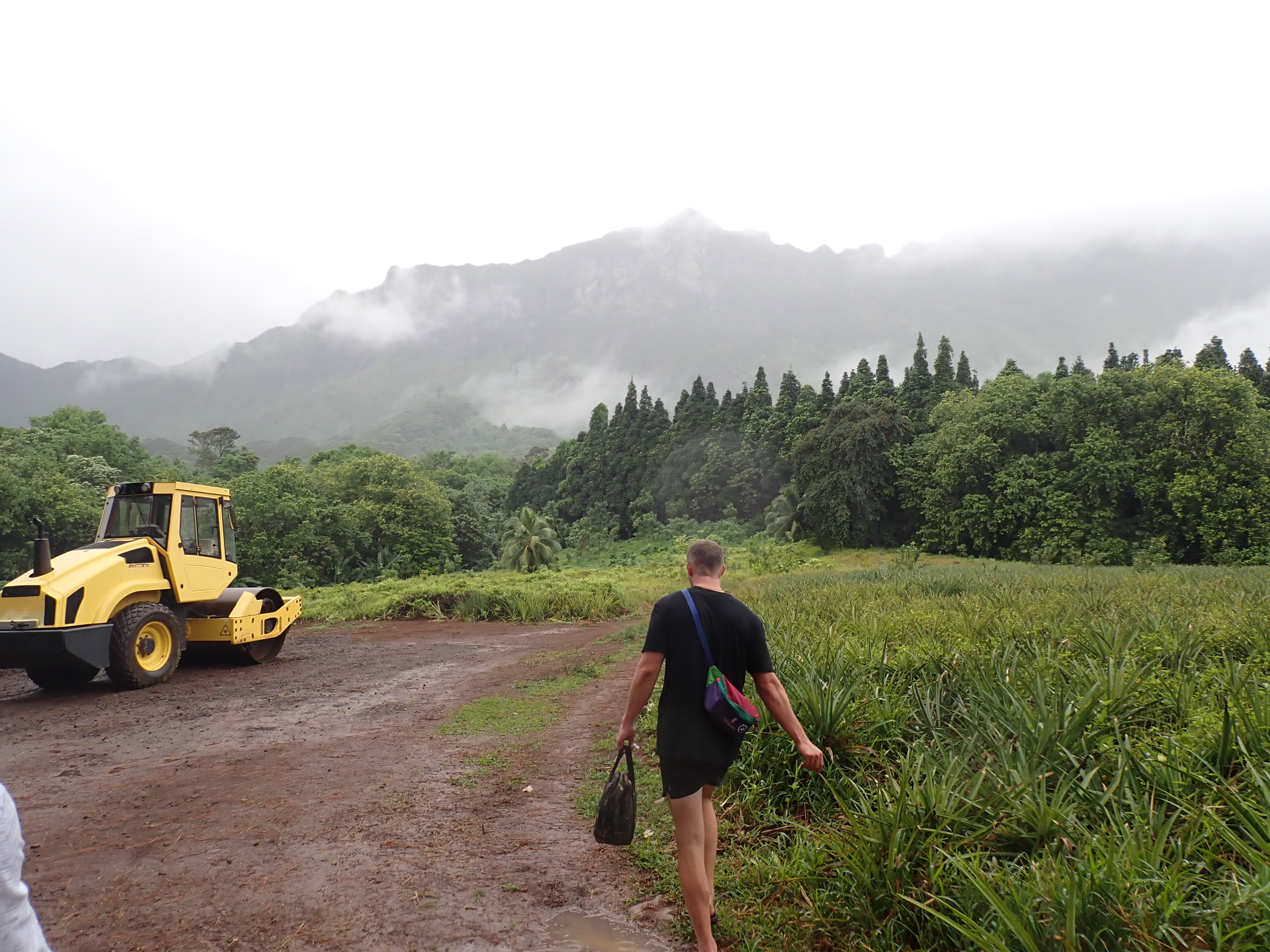 2022 Tahiti Taravao HXP - Day 2 (Arrival in Tahiti!, Narii & Escuela Teach us a Tahitian Dance, Ferry to Mo'orea / Moorea, Hiking, 18 in Small Truck, Va'a Canoes, Crepes)