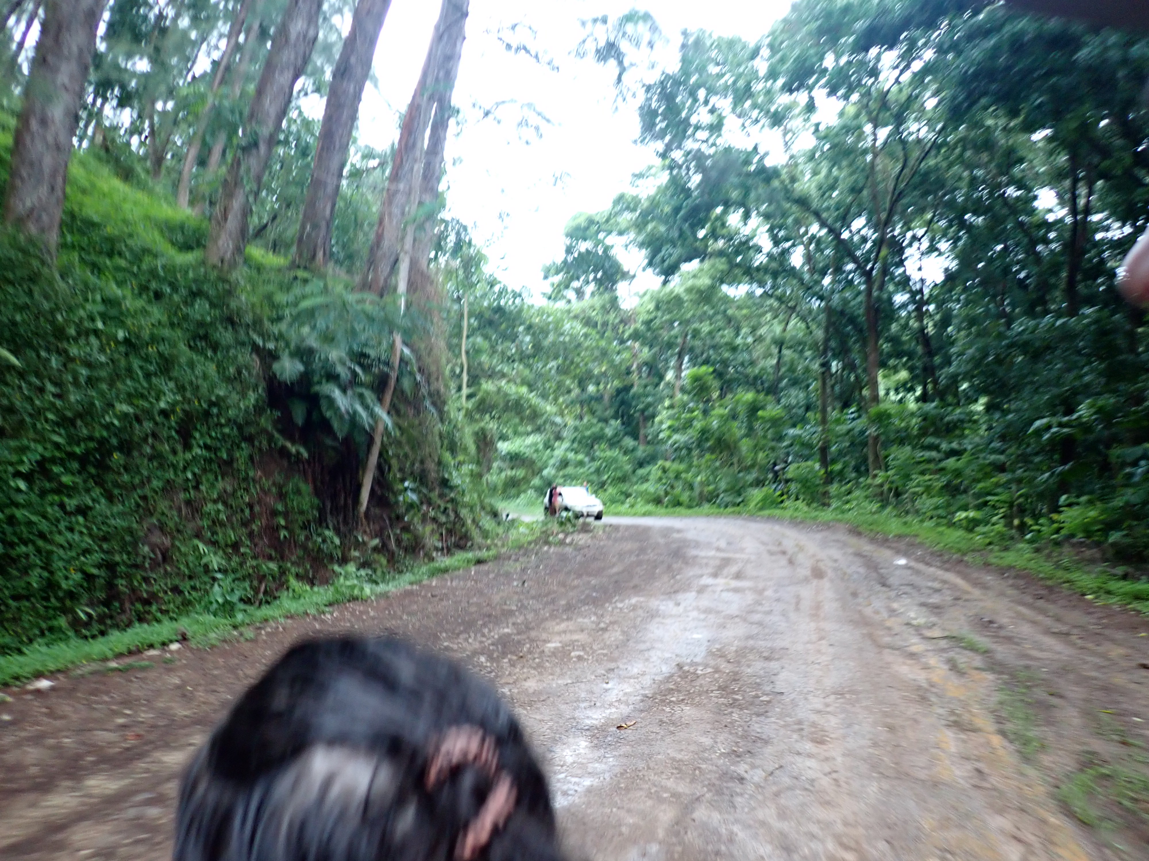 2022 Tahiti Taravao HXP - Day 2 (Arrival in Tahiti!, Narii & Escuela Teach us a Tahitian Dance, Ferry to Mo'orea / Moorea, Hiking, 18 in Small Truck, Va'a Canoes, Crepes)