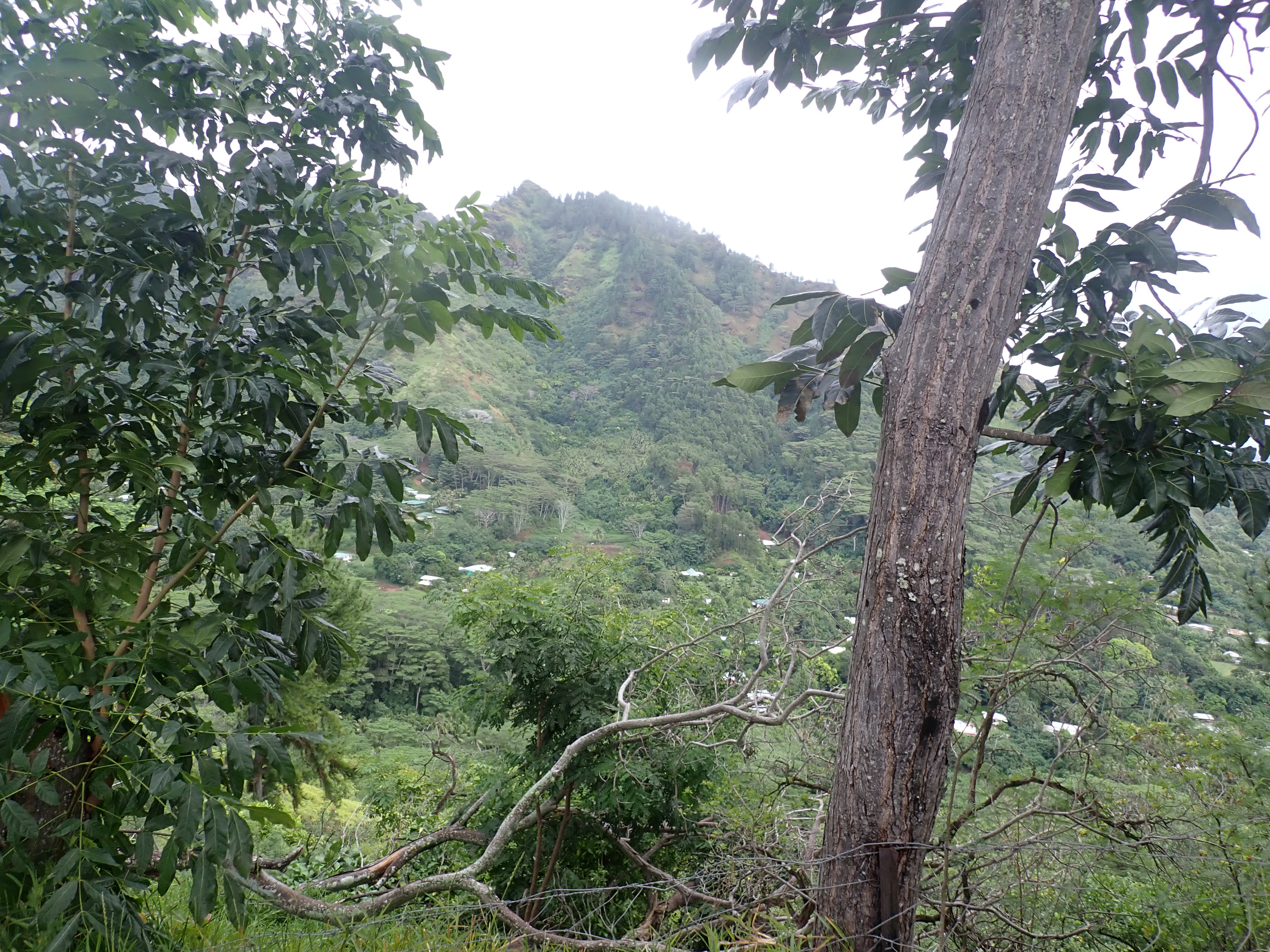 2022 Tahiti Taravao HXP - Day 3 (Devotional, Moorea Jeep Safari, Magic Mountain Overlook, Jam Tasting, Belvedere Lookout, Marae-o-Mahine, Touching Sacred Eels, Fresh Pineapple & Coconut, Making Headbands, Beach Games, Tahitian Dance & Fire Show)