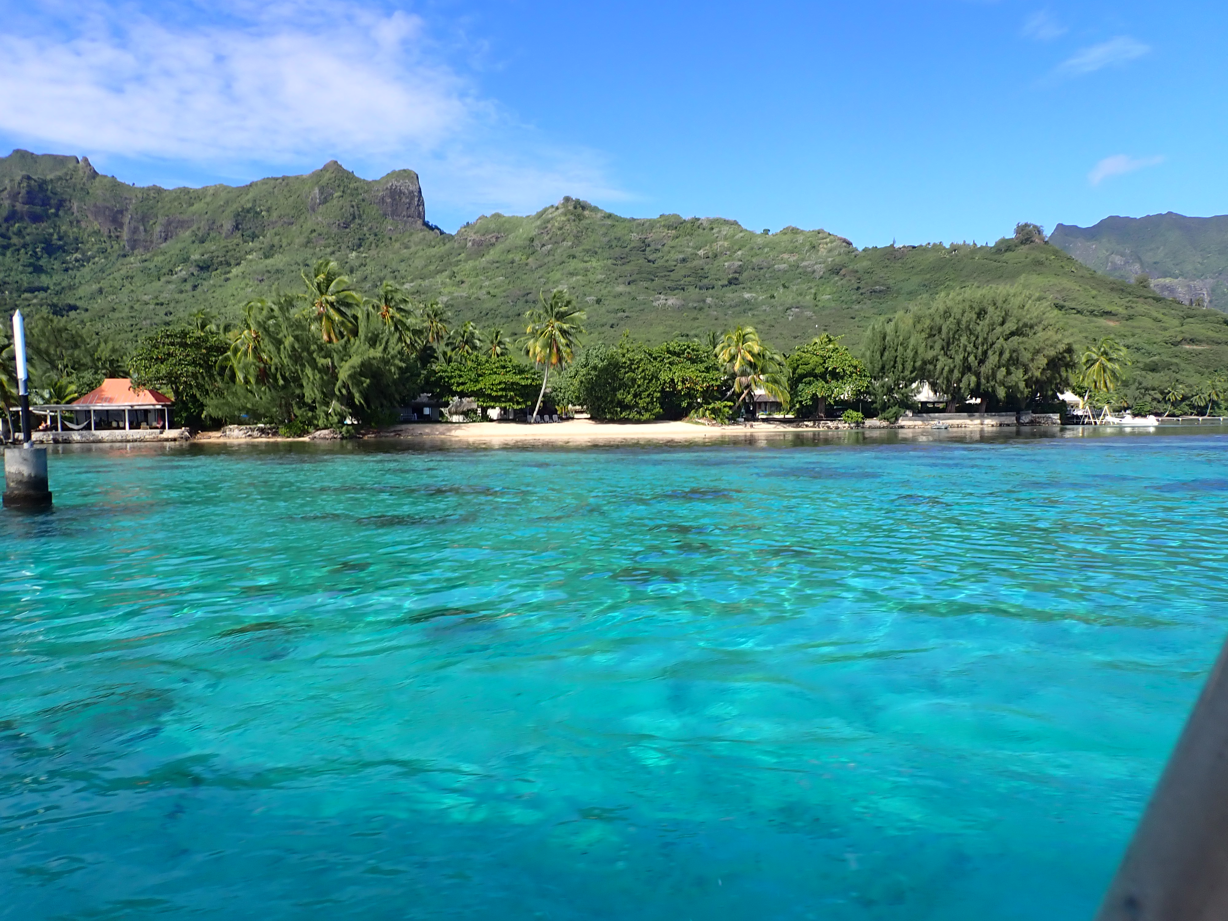 2022 Tahiti Taravao HXP - Day 4 (Kass's Birthday, Swimming with Sharks & Stingrays, Motu Fareone Island, Making Motu Fareone (E'ia Ota), Catching Crabs for 'Alca-Crab', Dance Party on Ferry to Tahiti, Catching Geckos)