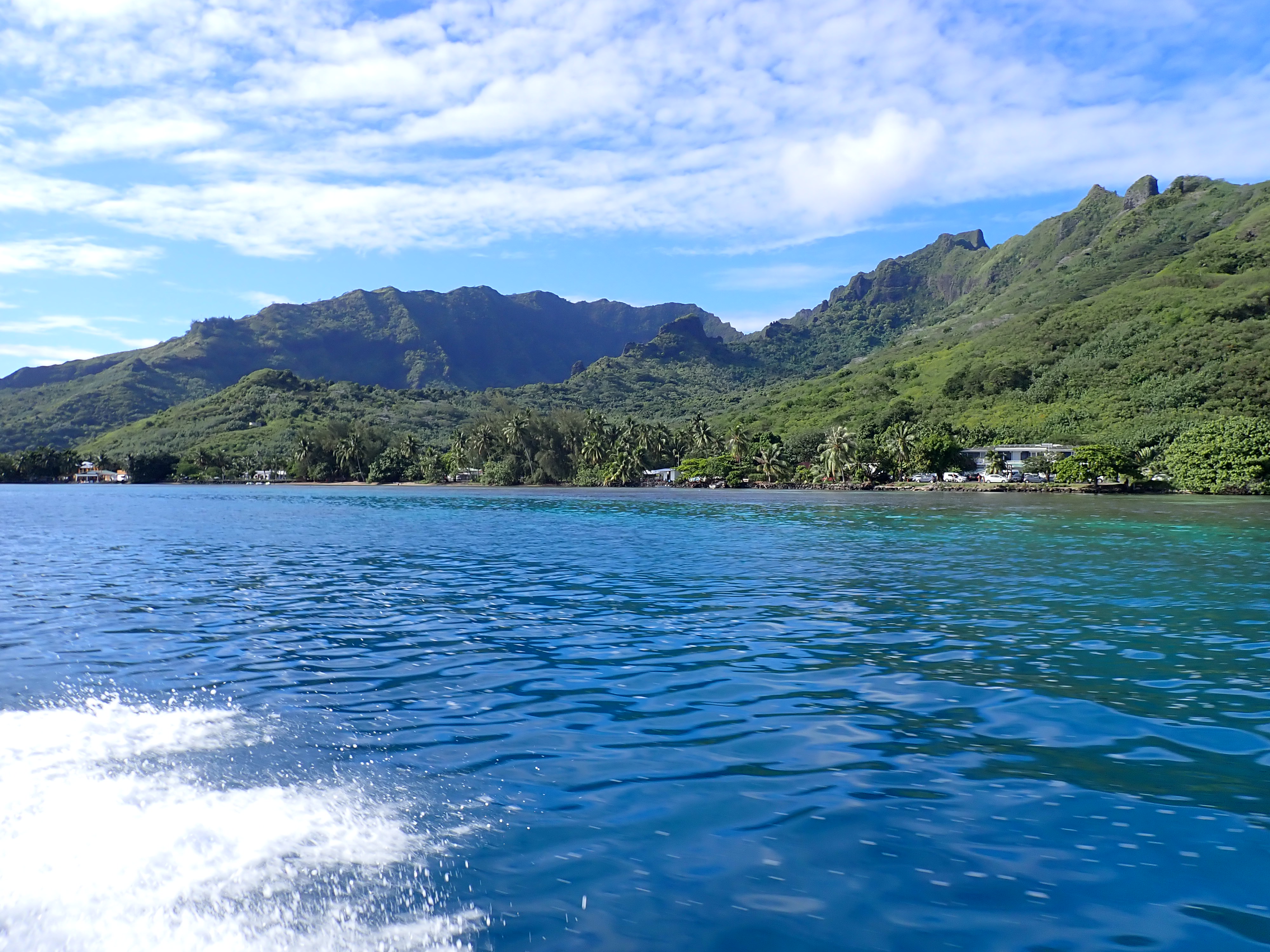 2022 Tahiti Taravao HXP - Day 4 (Kass's Birthday, Swimming with Sharks & Stingrays, Motu Fareone Island, Making Motu Fareone (E'ia Ota), Catching Crabs for 'Alca-Crab', Dance Party on Ferry to Tahiti, Catching Geckos)