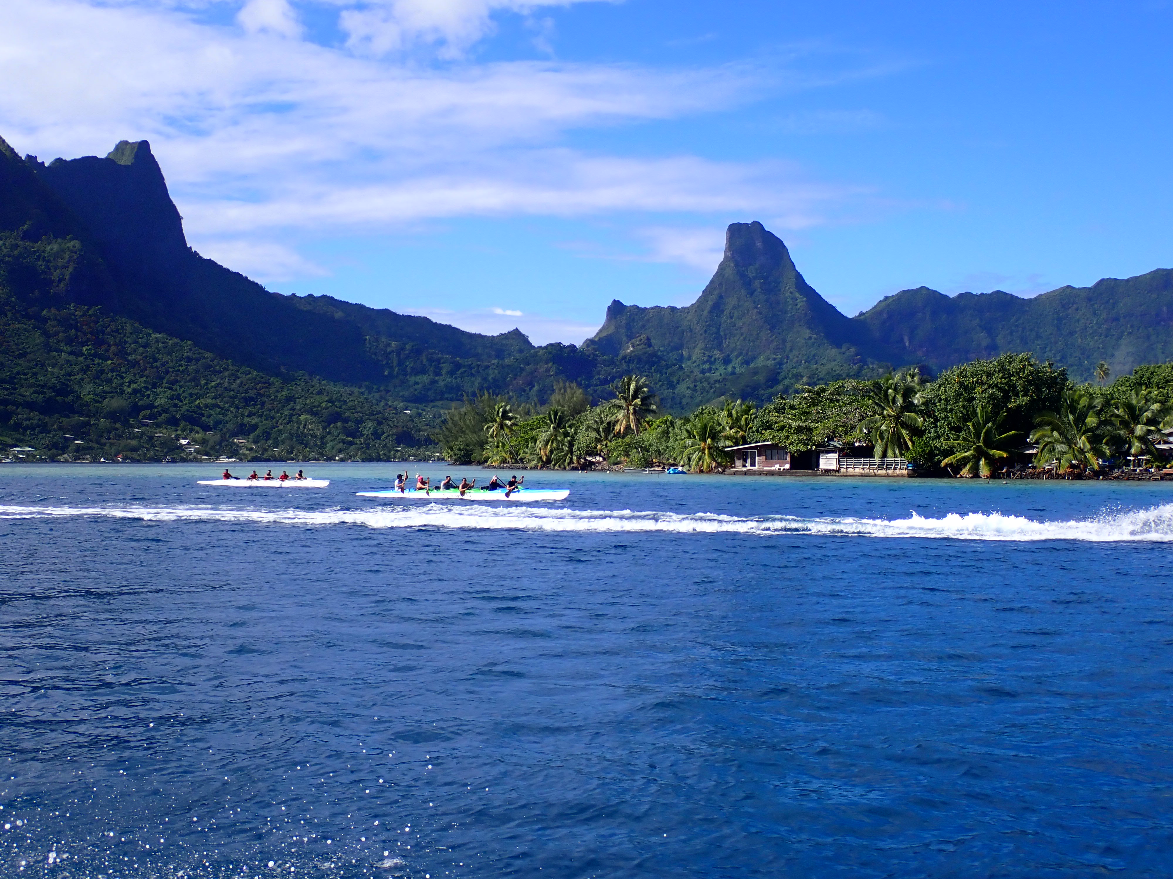 2022 Tahiti Taravao HXP - Day 4 (Kass's Birthday, Swimming with Sharks & Stingrays, Motu Fareone Island, Making Motu Fareone (E'ia Ota), Catching Crabs for 'Alca-Crab', Dance Party on Ferry to Tahiti, Catching Geckos)