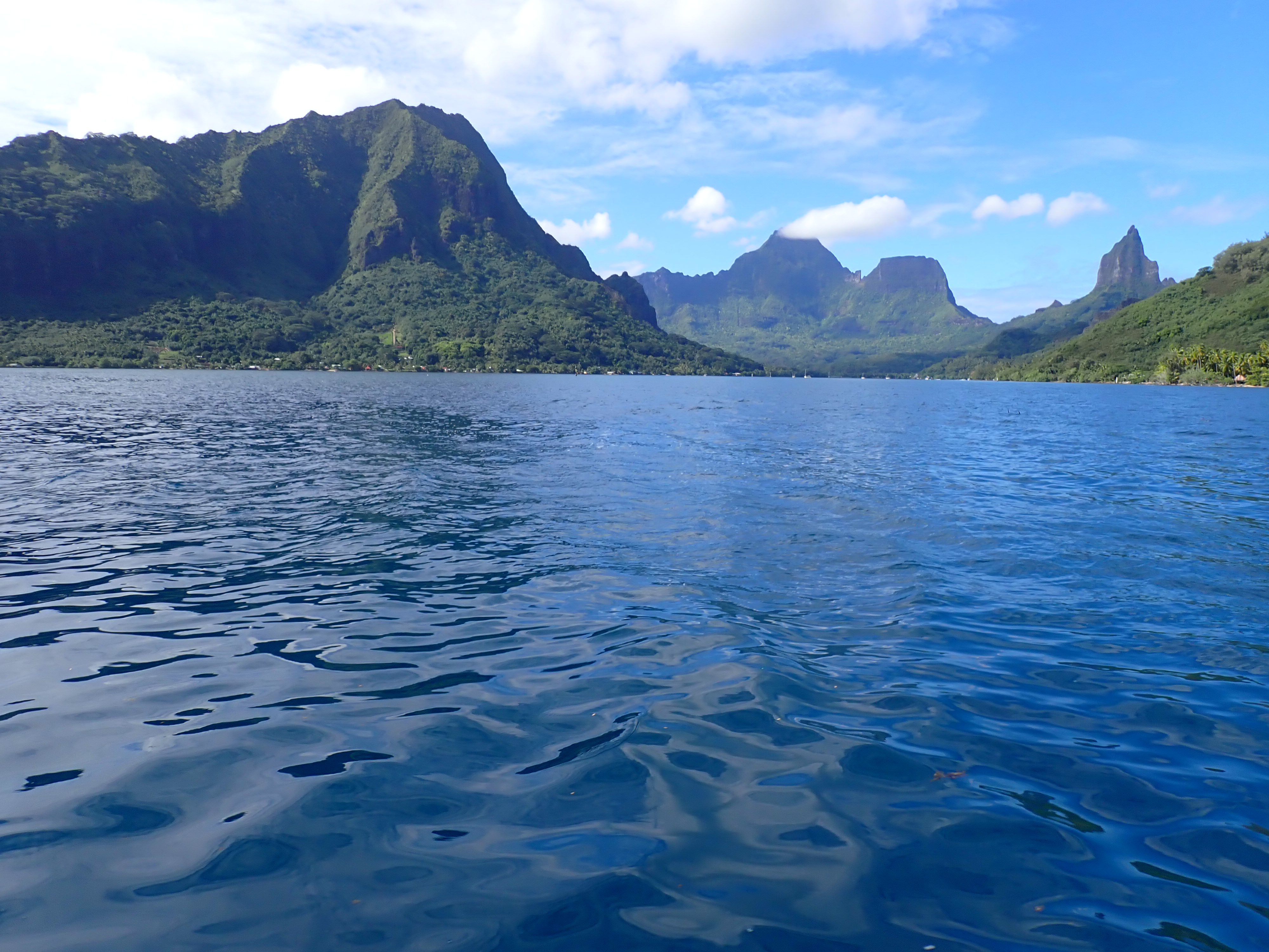 2022 Tahiti Taravao HXP - Day 4 (Kass's Birthday, Swimming with Sharks & Stingrays, Motu Fareone Island, Making Motu Fareone (E'ia Ota), Catching Crabs for 'Alca-Crab', Dance Party on Ferry to Tahiti, Catching Geckos)