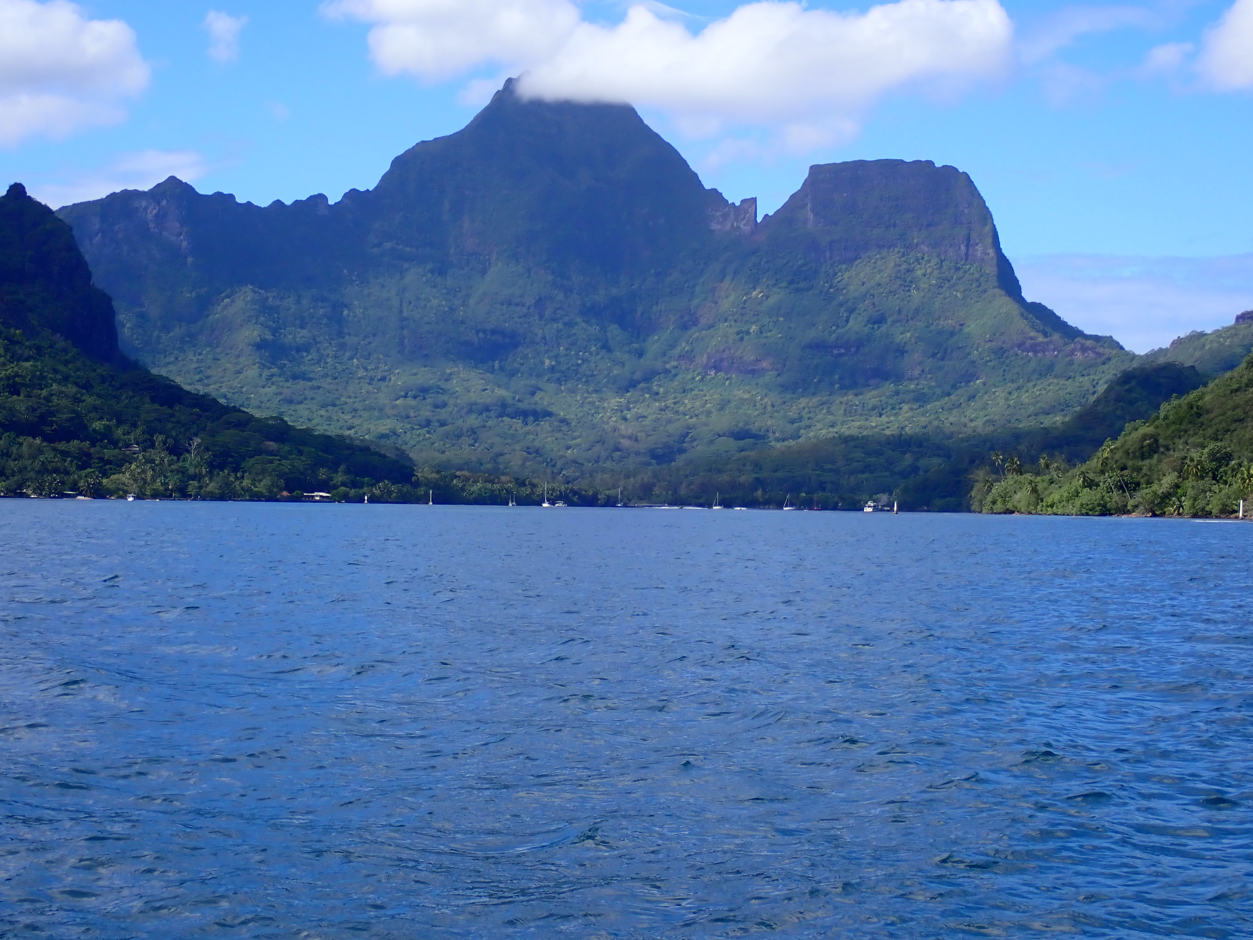 2022 Tahiti Taravao HXP - Day 4 (Kass's Birthday, Swimming with Sharks & Stingrays, Motu Fareone Island, Making Motu Fareone (E'ia Ota), Catching Crabs for 'Alca-Crab', Dance Party on Ferry to Tahiti, Catching Geckos)