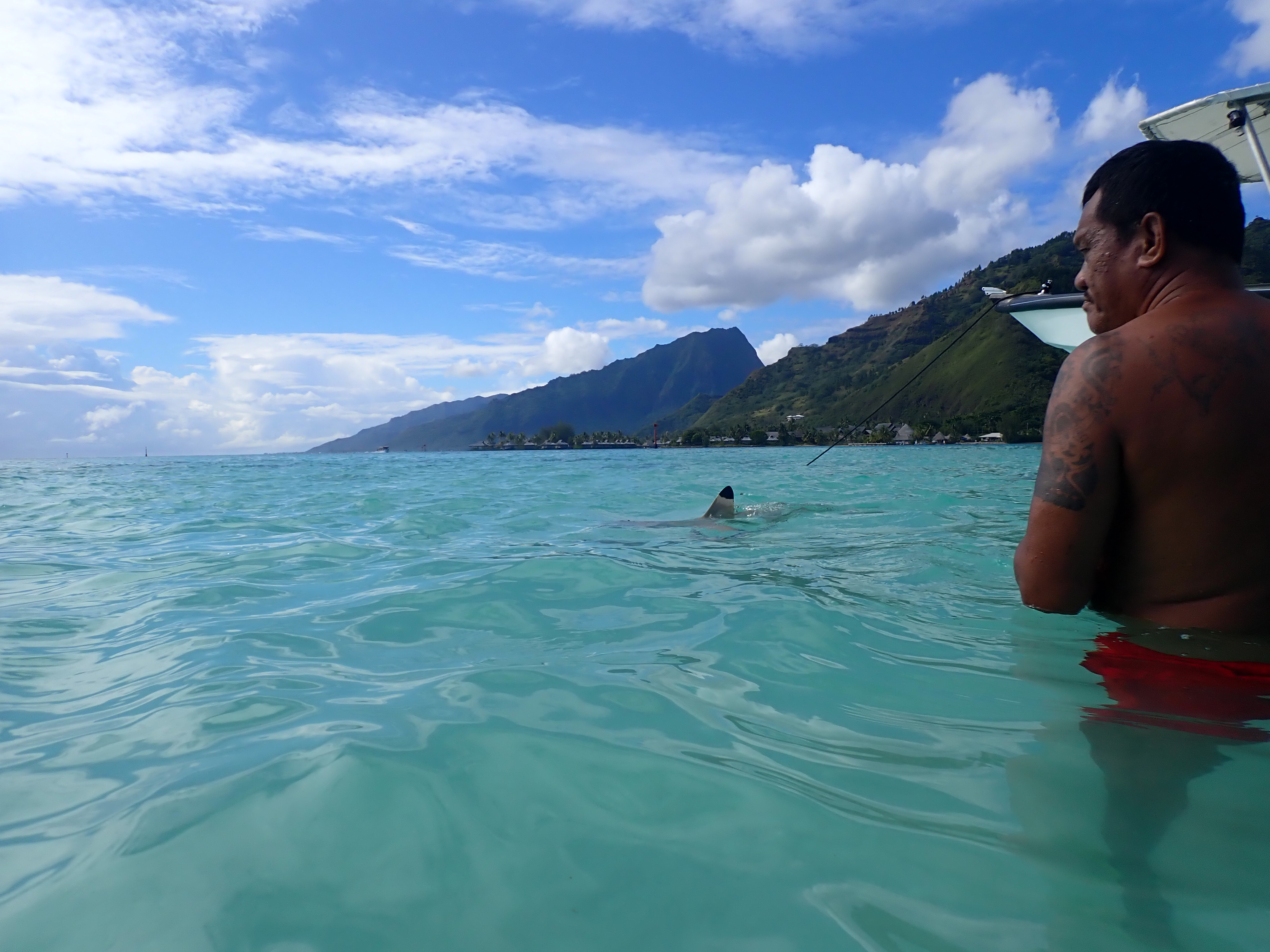 2022 Tahiti Taravao HXP - Day 4 (Kass's Birthday, Swimming with Sharks & Stingrays, Motu Fareone Island, Making Motu Fareone (E'ia Ota), Catching Crabs for 'Alca-Crab', Dance Party on Ferry to Tahiti, Catching Geckos)