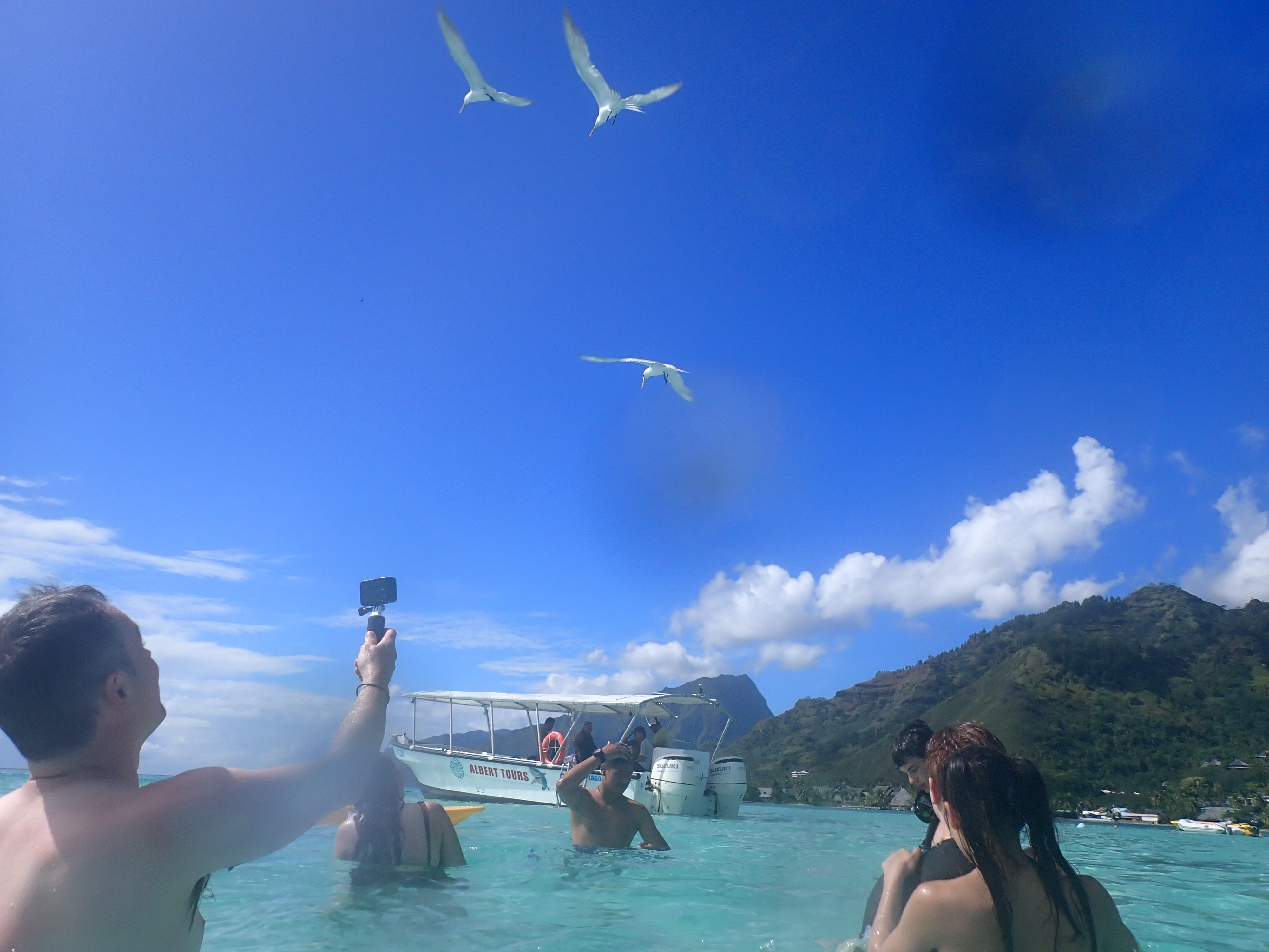 2022 Tahiti Taravao HXP - Day 4 (Kass's Birthday, Swimming with Sharks & Stingrays, Motu Fareone Island, Making Motu Fareone (E'ia Ota), Catching Crabs for 'Alca-Crab', Dance Party on Ferry to Tahiti, Catching Geckos)