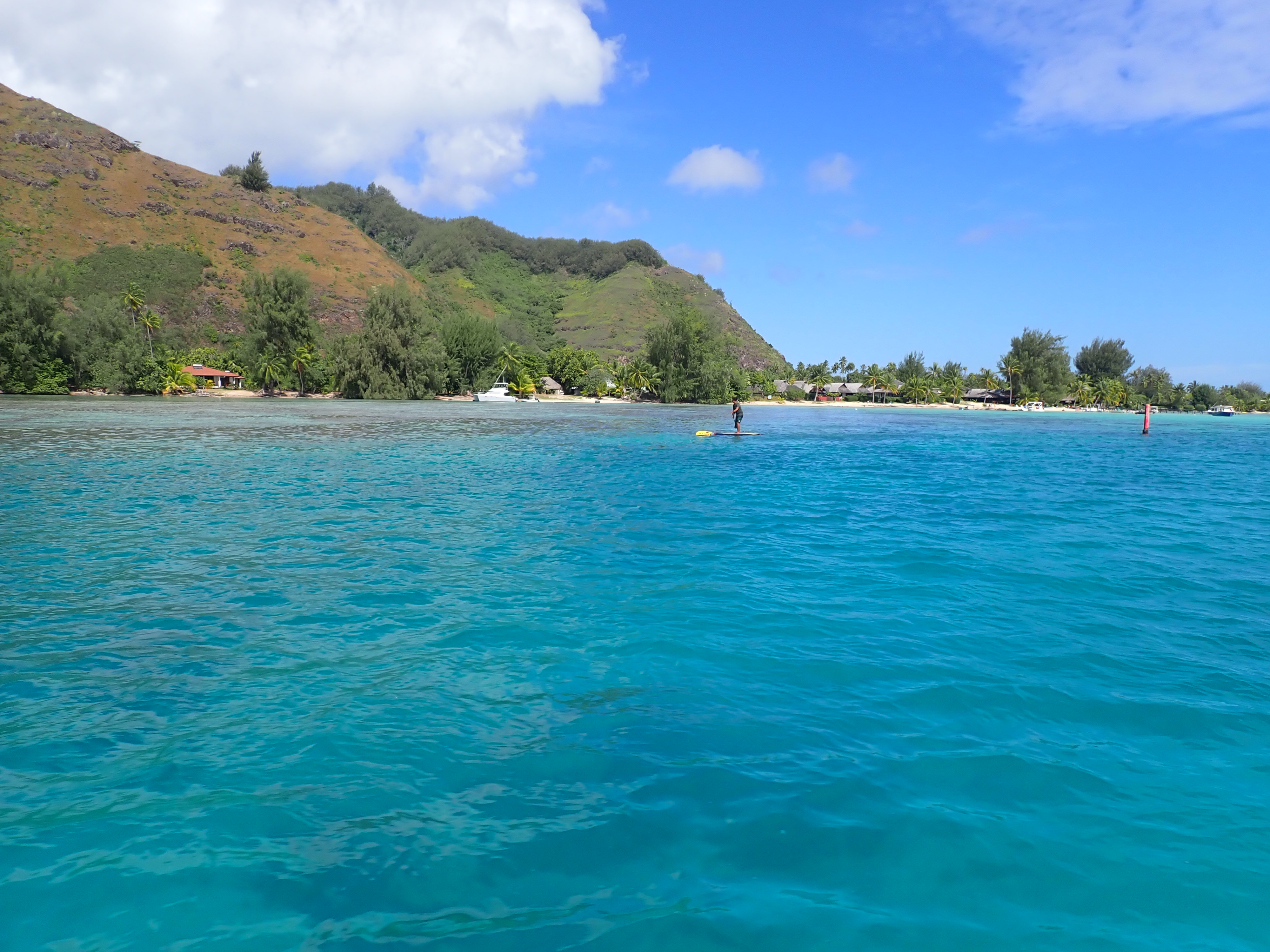 2022 Tahiti Taravao HXP - Day 4 (Kass's Birthday, Swimming with Sharks & Stingrays, Motu Fareone Island, Making Motu Fareone (E'ia Ota), Catching Crabs for 'Alca-Crab', Dance Party on Ferry to Tahiti, Catching Geckos)