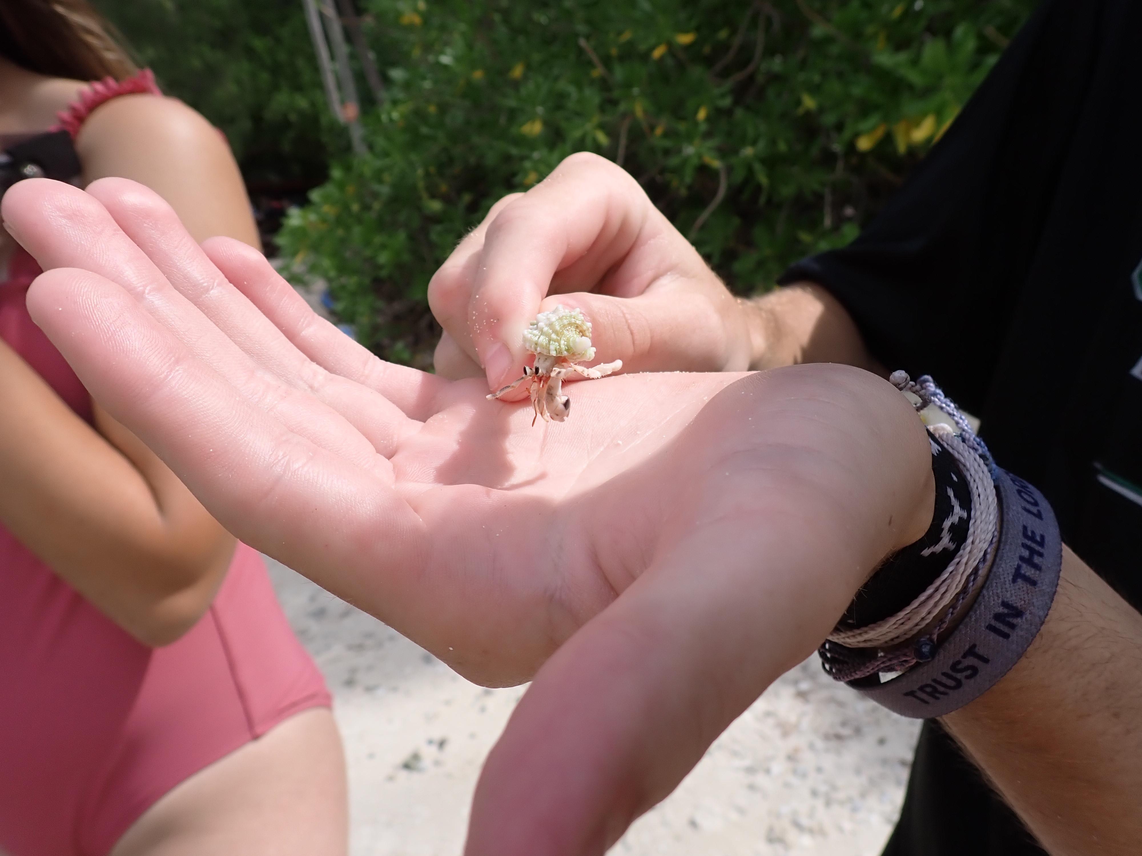 2022 Tahiti Taravao HXP - Day 4 (Kass's Birthday, Swimming with Sharks & Stingrays, Motu Fareone Island, Making Motu Fareone (E'ia Ota), Catching Crabs for 'Alca-Crab', Dance Party on Ferry to Tahiti, Catching Geckos)