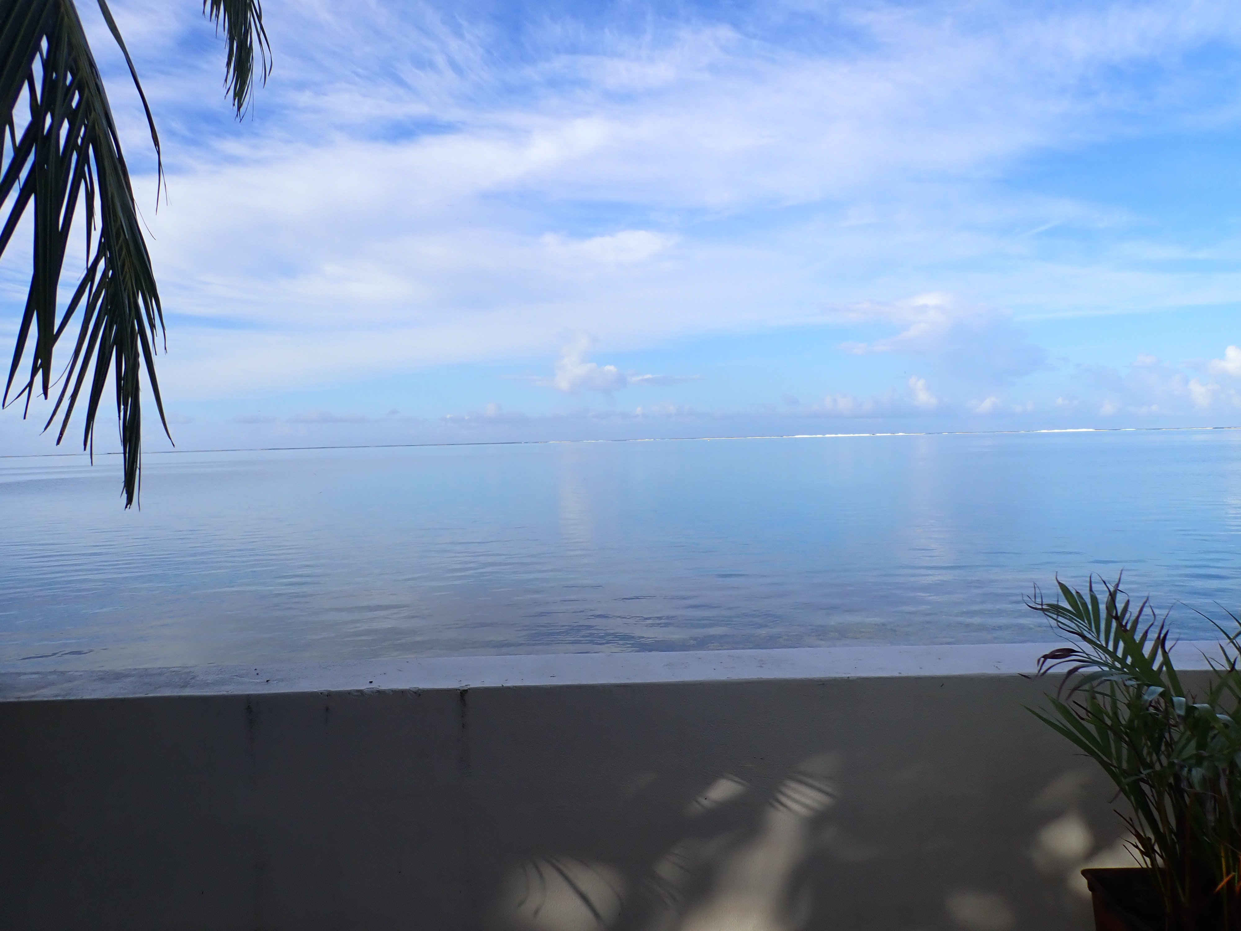2022 Tahiti Taravao HXP - Day 5 (Staying at Hiti Moana Villa, Church with ❤ Bishop Taylor ❤, Harrison Smith Botanical Garden, Youth Activity & Dinner & Singing with the Papara Ward)