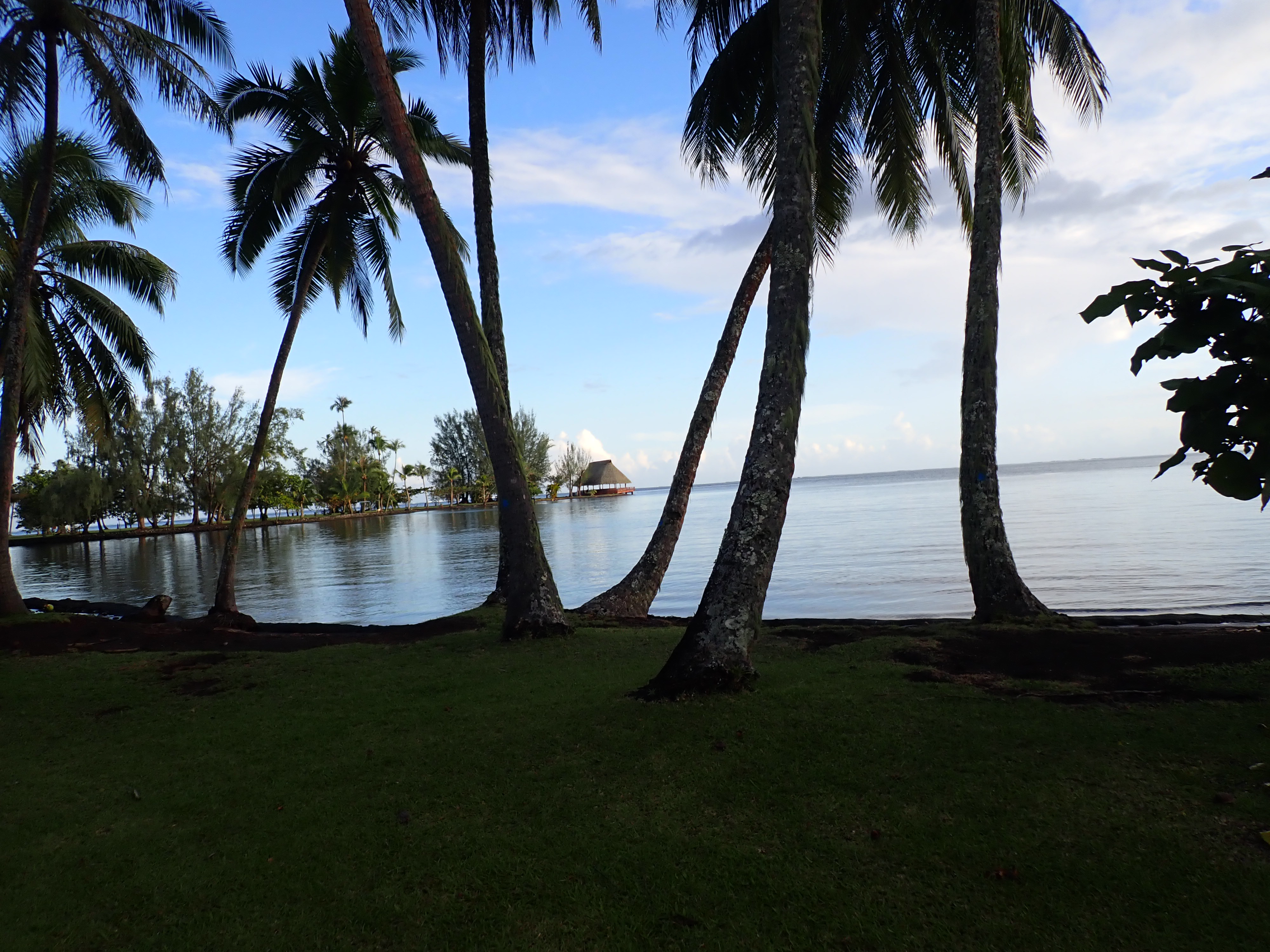 2022 Tahiti Taravao HXP - Day 5 (Staying at Hiti Moana Villa, Church with ❤ Bishop Taylor ❤, Harrison Smith Botanical Garden, Youth Activity & Dinner & Singing with the Papara Ward)