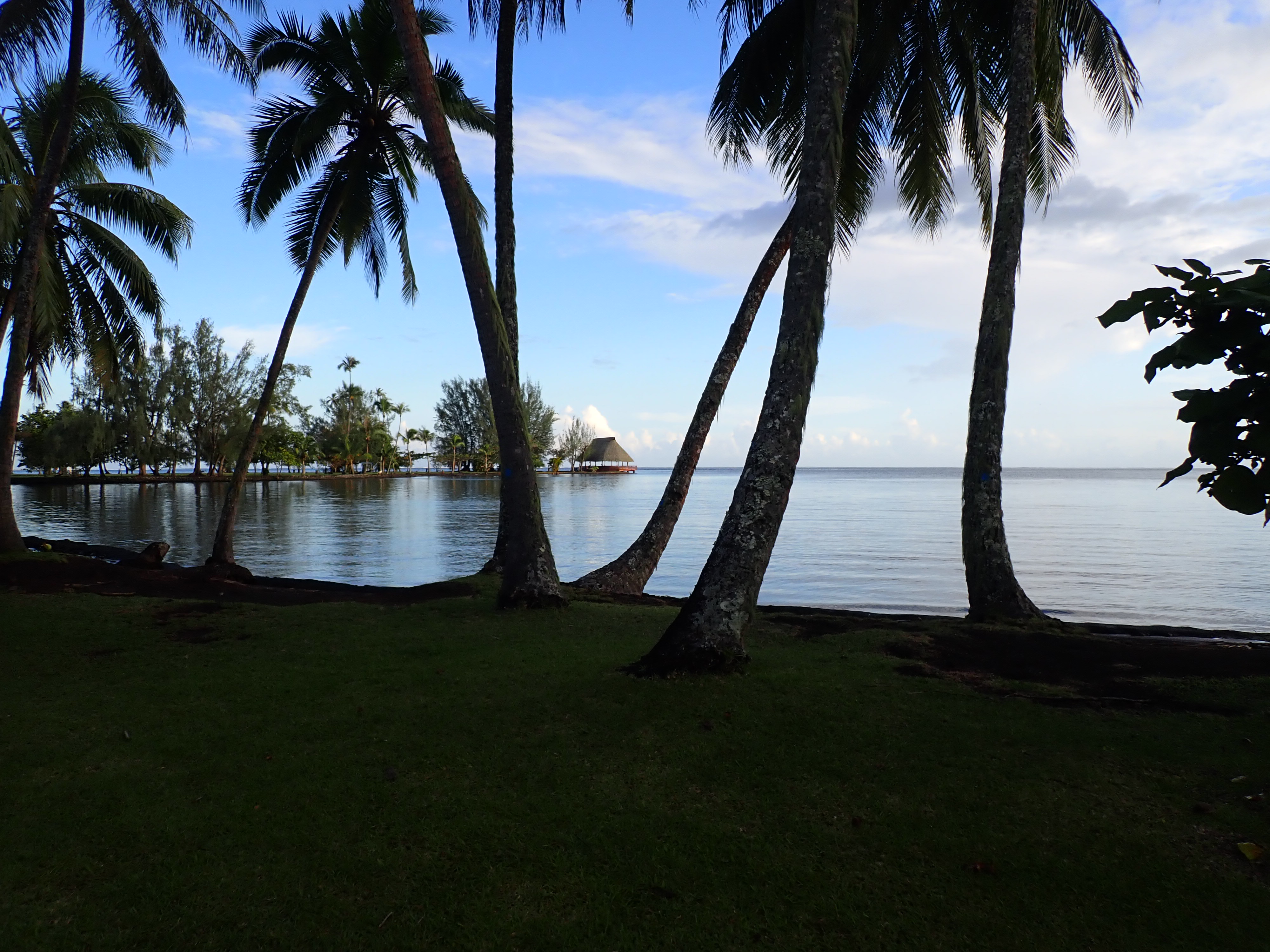 2022 Tahiti Taravao HXP - Day 5 (Staying at Hiti Moana Villa, Church with ❤ Bishop Taylor ❤, Harrison Smith Botanical Garden, Youth Activity & Dinner & Singing with the Papara Ward)