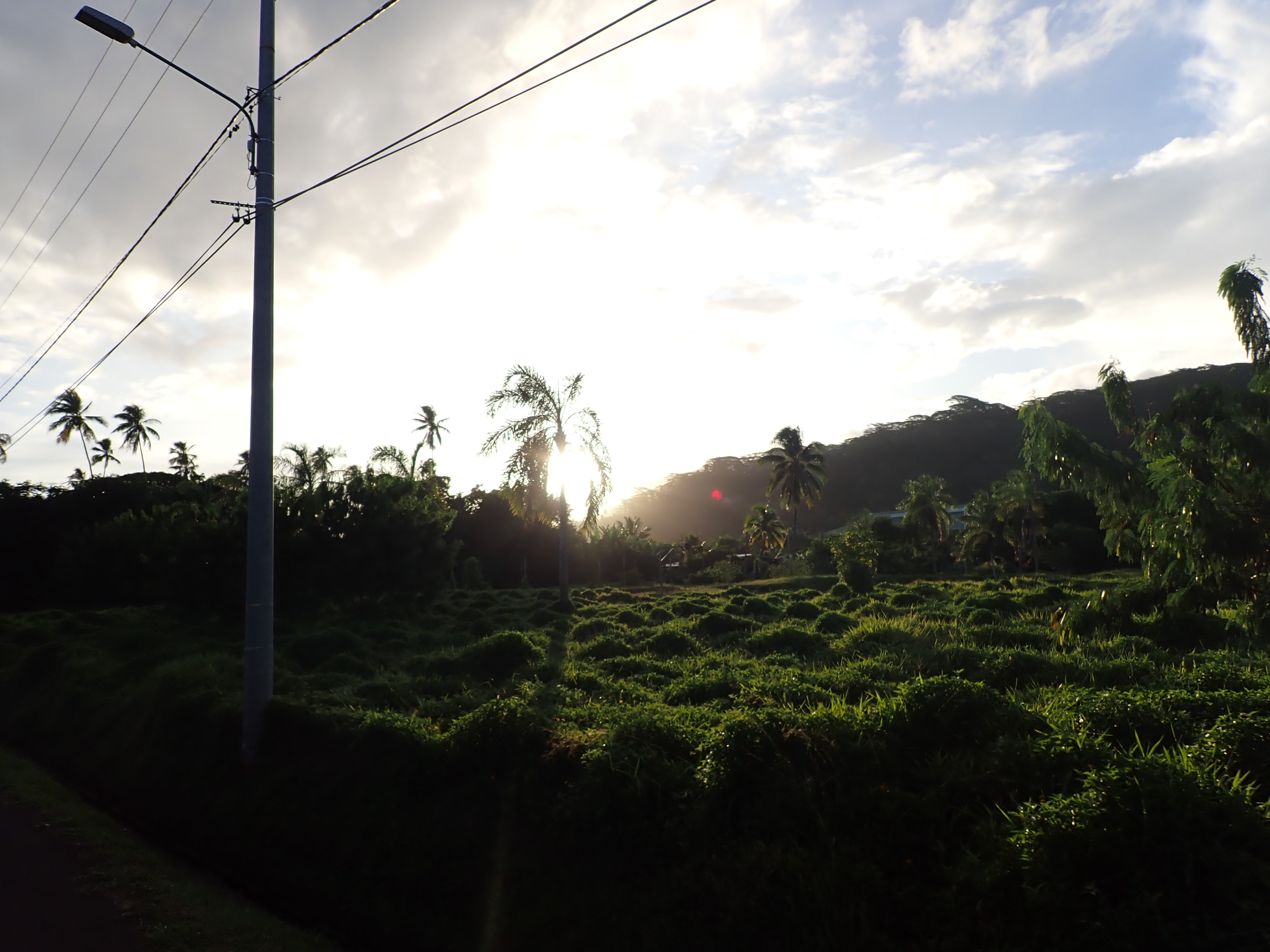 2022 Tahiti Taravao HXP - Day 5 (Staying at Hiti Moana Villa, Church with ❤ Bishop Taylor ❤, Harrison Smith Botanical Garden, Youth Activity & Dinner & Singing with the Papara Ward)