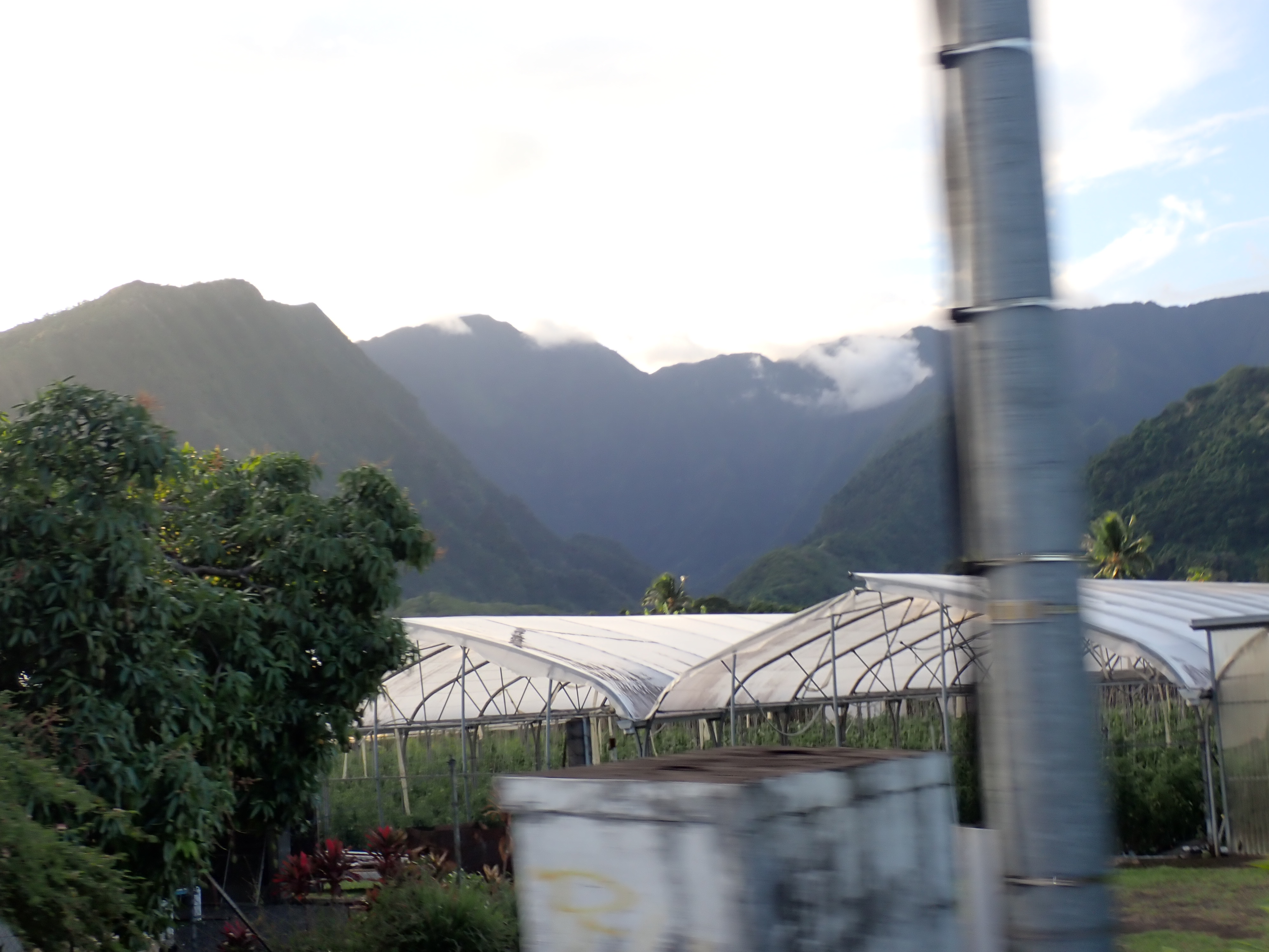 2022 Tahiti Taravao HXP - Day 5 (Staying at Hiti Moana Villa, Church with ❤ Bishop Taylor ❤, Harrison Smith Botanical Garden, Youth Activity & Dinner & Singing with the Papara Ward)