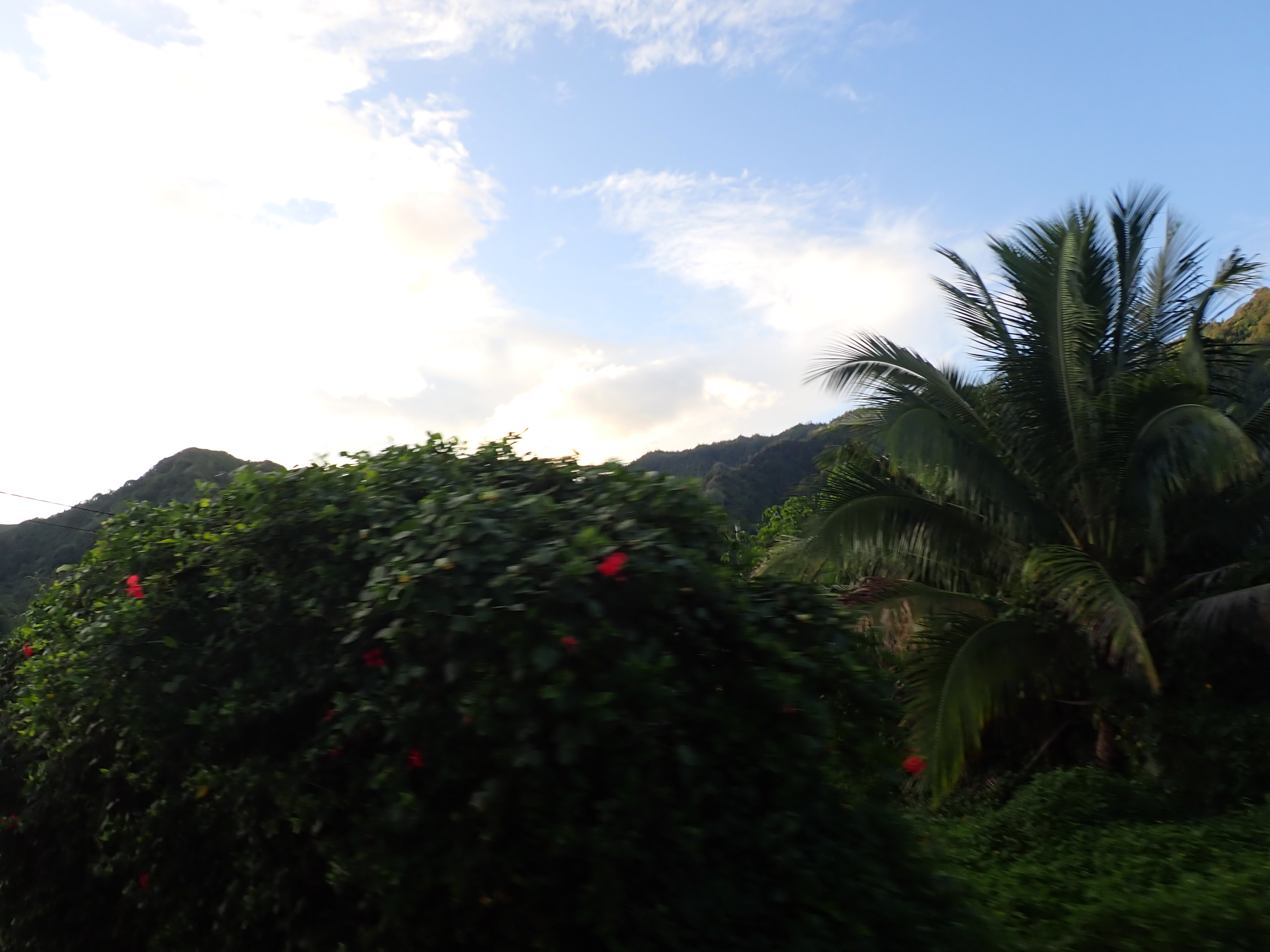 2022 Tahiti Taravao HXP - Day 5 (Staying at Hiti Moana Villa, Church with ❤ Bishop Taylor ❤, Harrison Smith Botanical Garden, Youth Activity & Dinner & Singing with the Papara Ward)