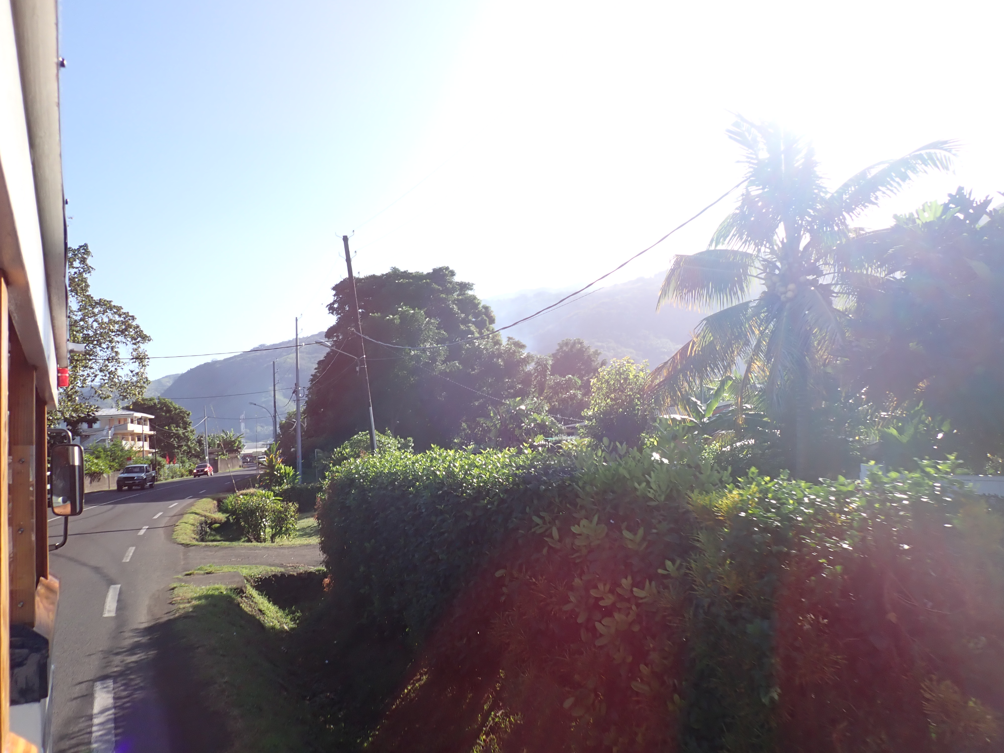 2022 Tahiti Taravao HXP - Day 6 (1st Day at the Work Site, Clearing the Land to Build a House for Tiana, Digging the Foundation & Footings, Purple Worms & Centipedes,Swimming in the Reef, Activity and Dinner with the Vaihiria Ward, Double Dragon)