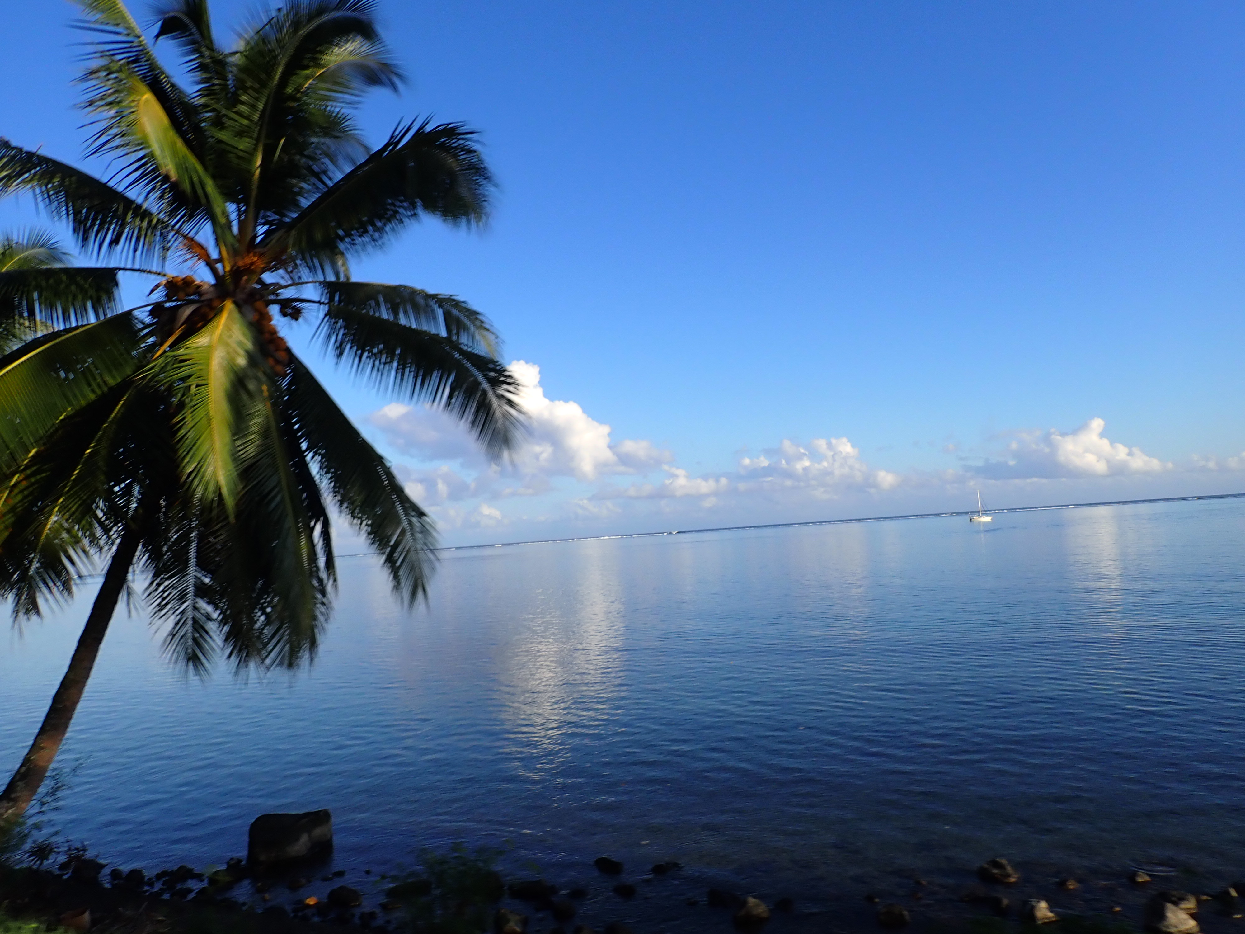 2022 Tahiti Taravao HXP - Day 6 (1st Day at the Work Site, Clearing the Land to Build a House for Tiana, Digging the Foundation & Footings, Purple Worms & Centipedes,Swimming in the Reef, Activity and Dinner with the Vaihiria Ward, Double Dragon)