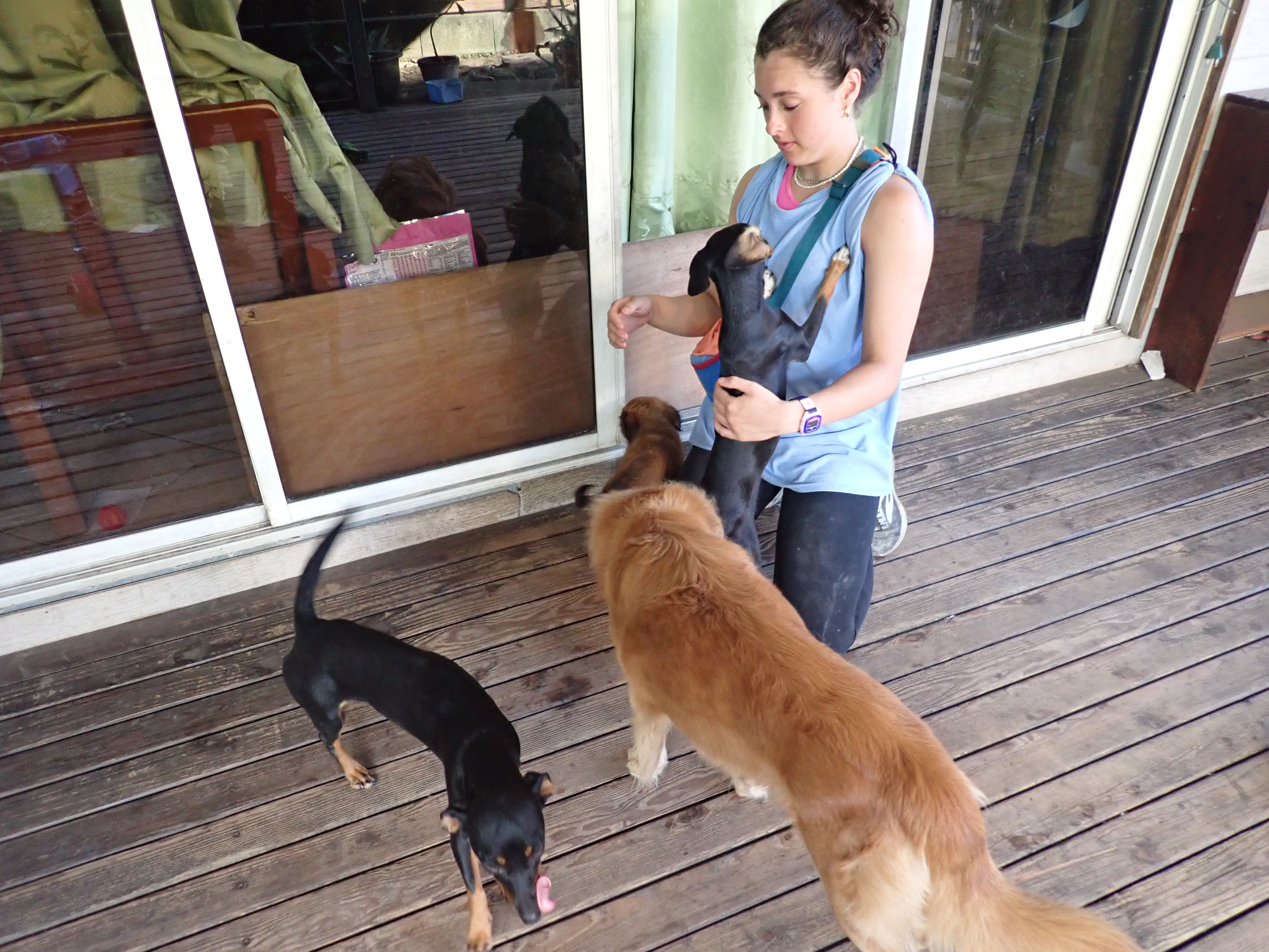 2022 Tahiti Taravao HXP - Day 8 (Poisonous Centipedes, Baguettes, Making Anthony (Bryan) Laugh on Video, Youth Activity / Dinner with the Papara Ward & ❤ Bishop Taylor ❤, Dance Lessons from Bryan, Sea Urchins, Poisonous Puffer Fish, Needlefi
