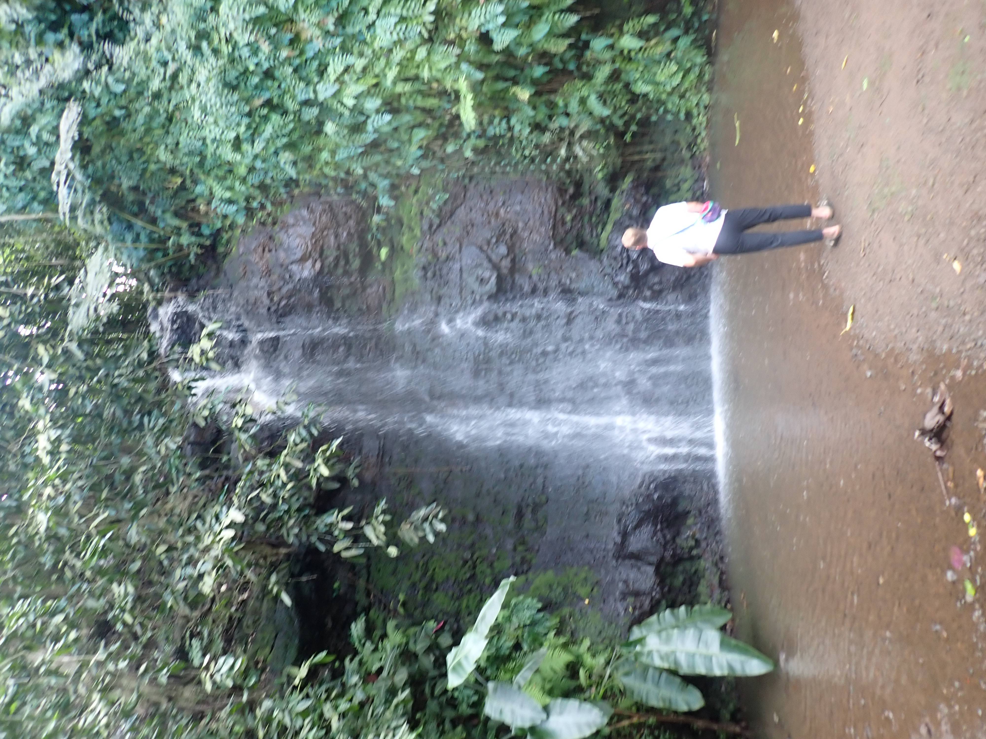 2022 Tahiti Taravao HXP - Day 12 (Church with Vaihiria Ward, Water Gardens Vaipahi Waterfall & Hike, Sacred Eels, Turtles, Haircut, Activity with Vaihiria Ward Youth, Averie's Birthday, Letters Home)