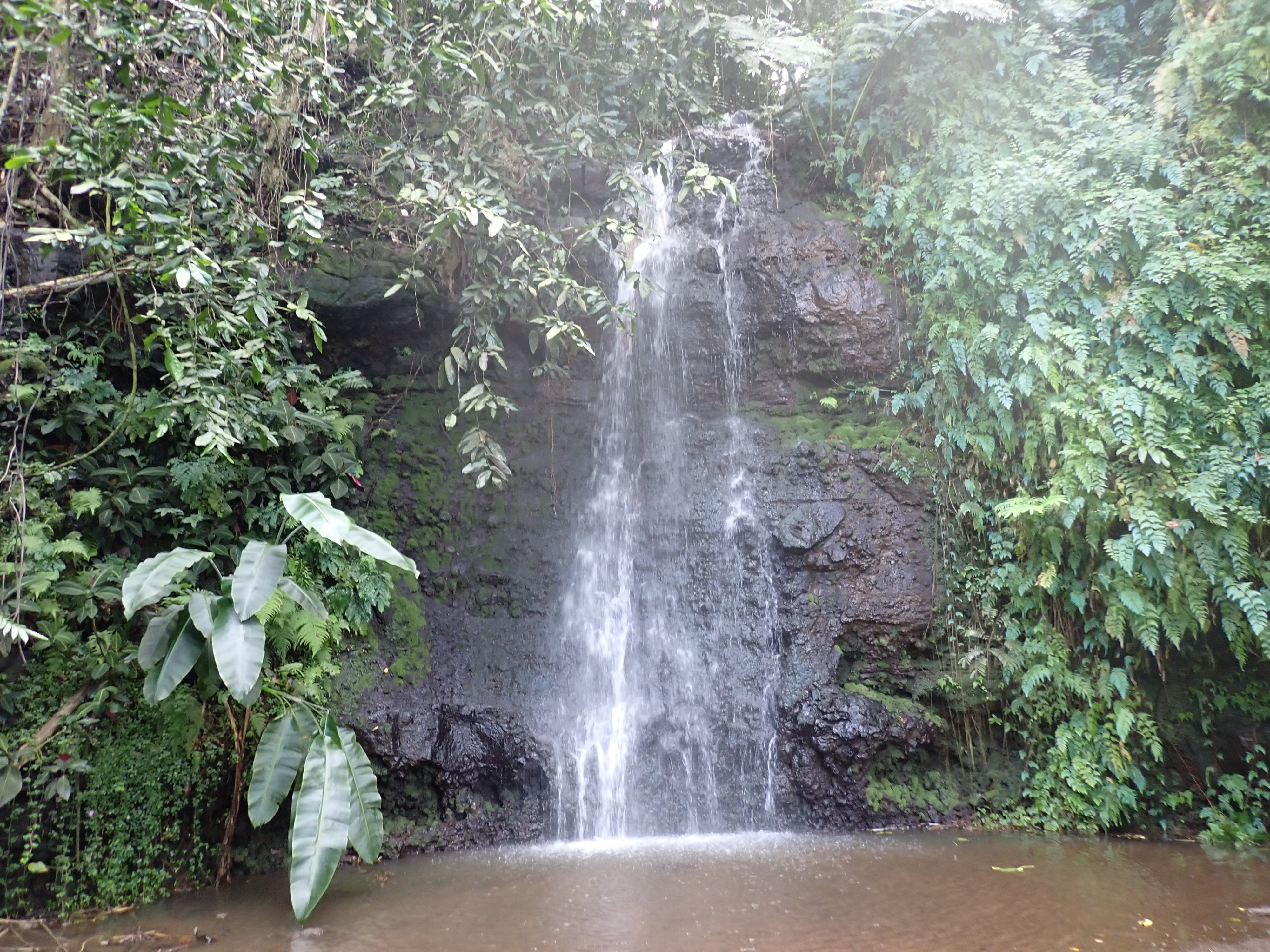 2022 Tahiti Taravao HXP - Day 12 (Church with Vaihiria Ward, Water Gardens Vaipahi Waterfall & Hike, Sacred Eels, Turtles, Haircut, Activity with Vaihiria Ward Youth, Averie's Birthday, Letters Home)