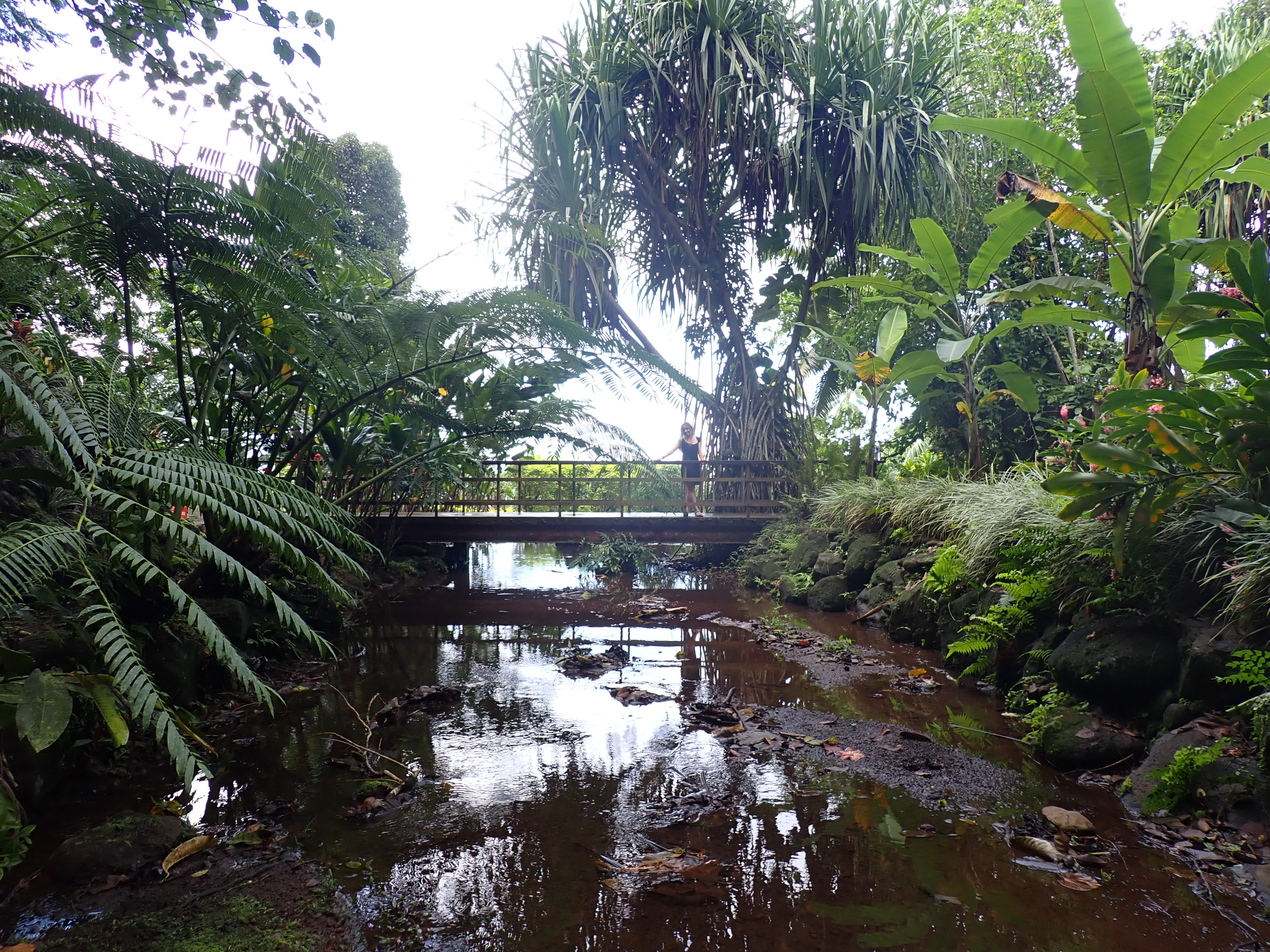 2022 Tahiti Taravao HXP - Day 12 (Church with Vaihiria Ward, Water Gardens Vaipahi Waterfall & Hike, Sacred Eels, Turtles, Haircut, Activity with Vaihiria Ward Youth, Averie's Birthday, Letters Home)