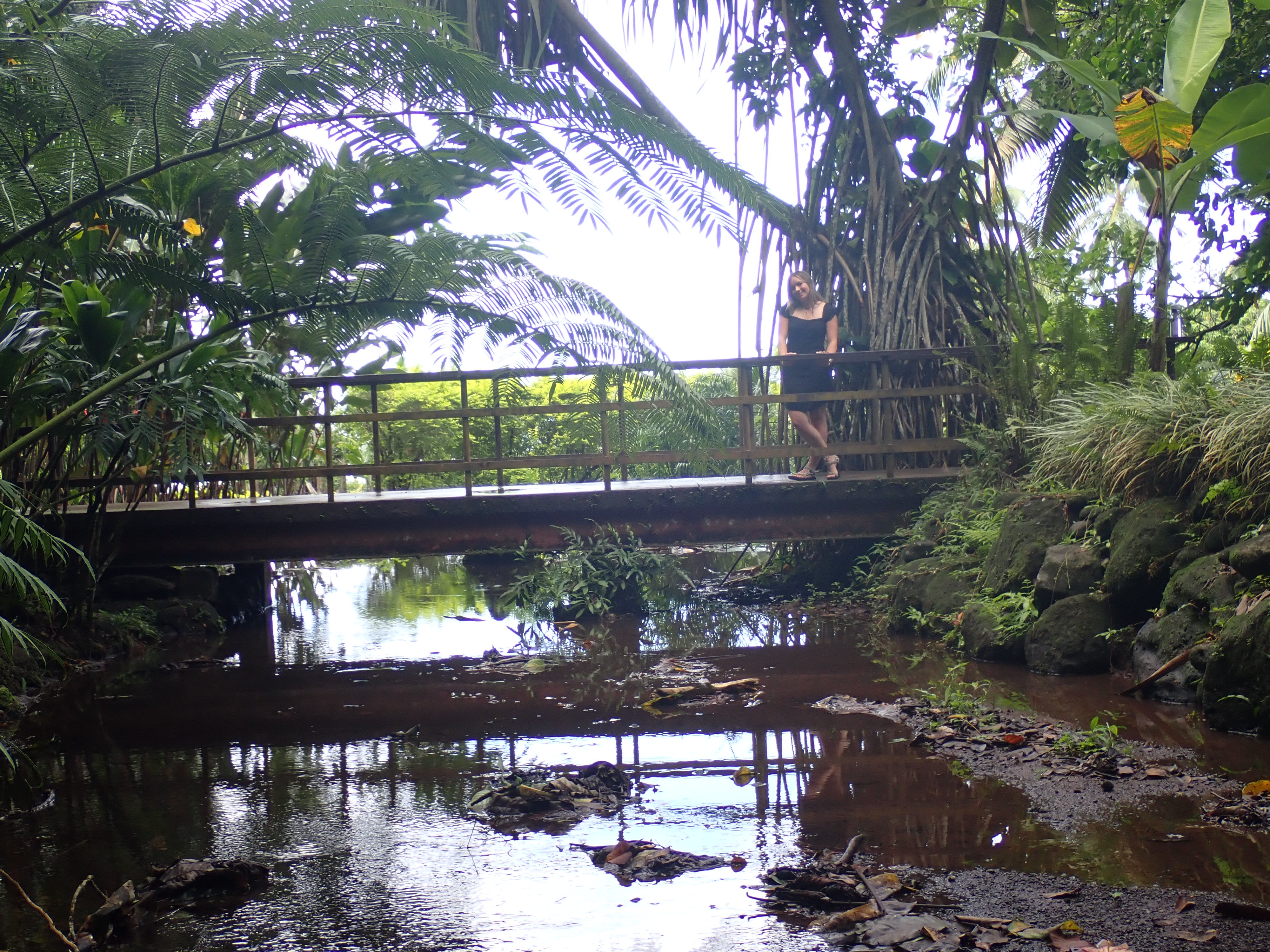 2022 Tahiti Taravao HXP - Day 12 (Church with Vaihiria Ward, Water Gardens Vaipahi Waterfall & Hike, Sacred Eels, Turtles, Haircut, Activity with Vaihiria Ward Youth, Averie's Birthday, Letters Home)