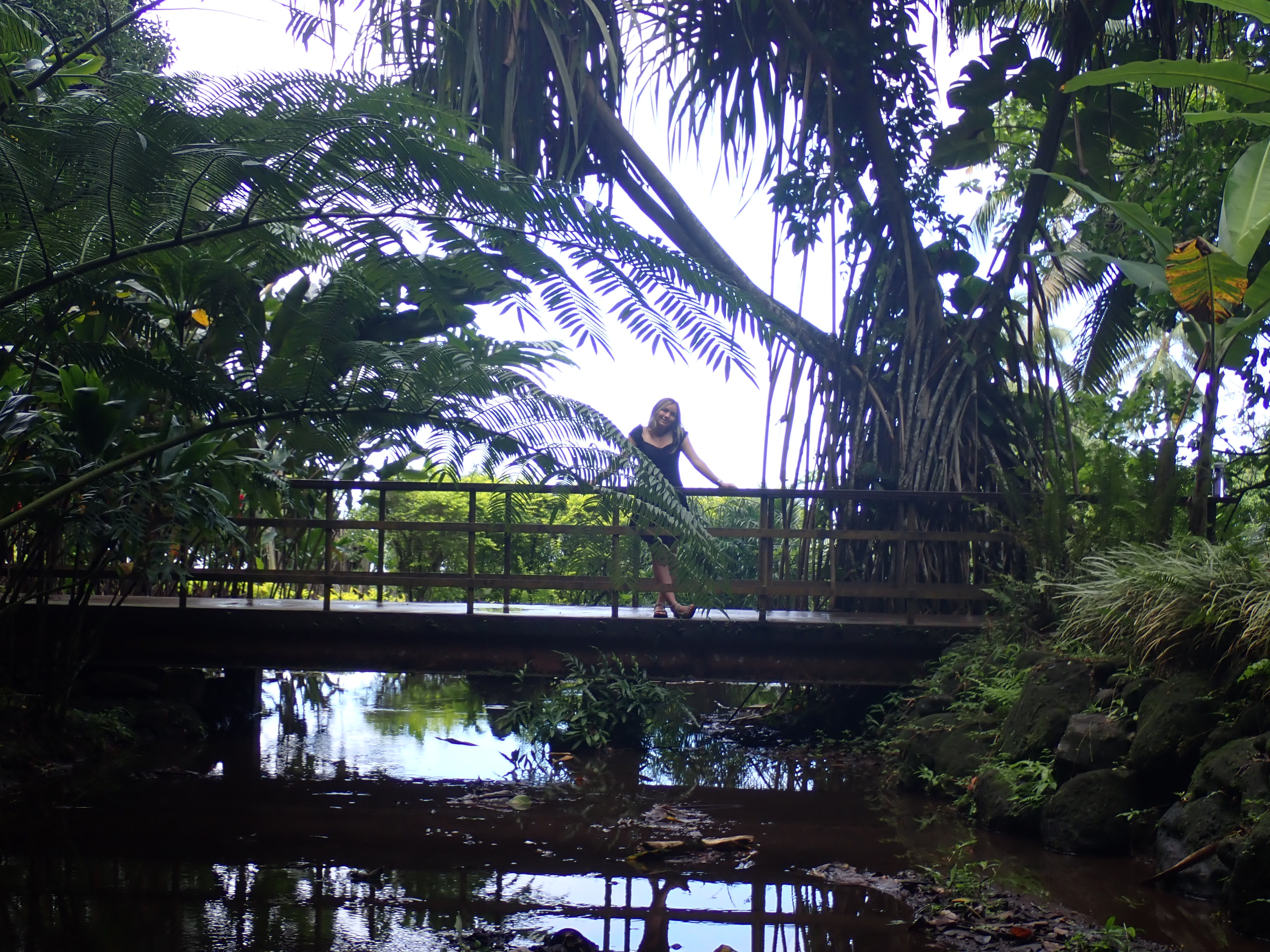 2022 Tahiti Taravao HXP - Day 12 (Church with Vaihiria Ward, Water Gardens Vaipahi Waterfall & Hike, Sacred Eels, Turtles, Haircut, Activity with Vaihiria Ward Youth, Averie's Birthday, Letters Home)