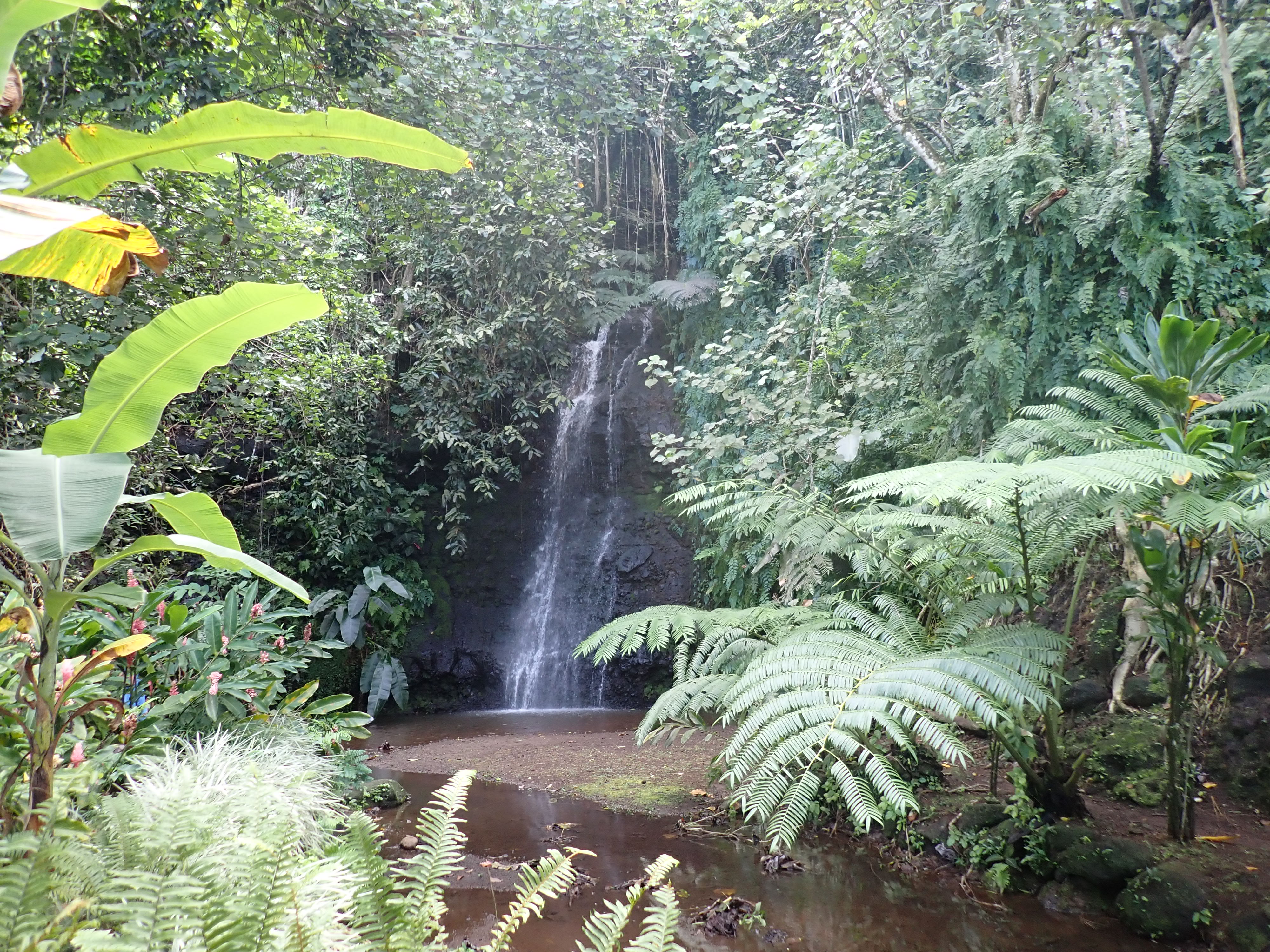 2022 Tahiti Taravao HXP - Day 12 (Church with Vaihiria Ward, Water Gardens Vaipahi Waterfall & Hike, Sacred Eels, Turtles, Haircut, Activity with Vaihiria Ward Youth, Averie's Birthday, Letters Home)