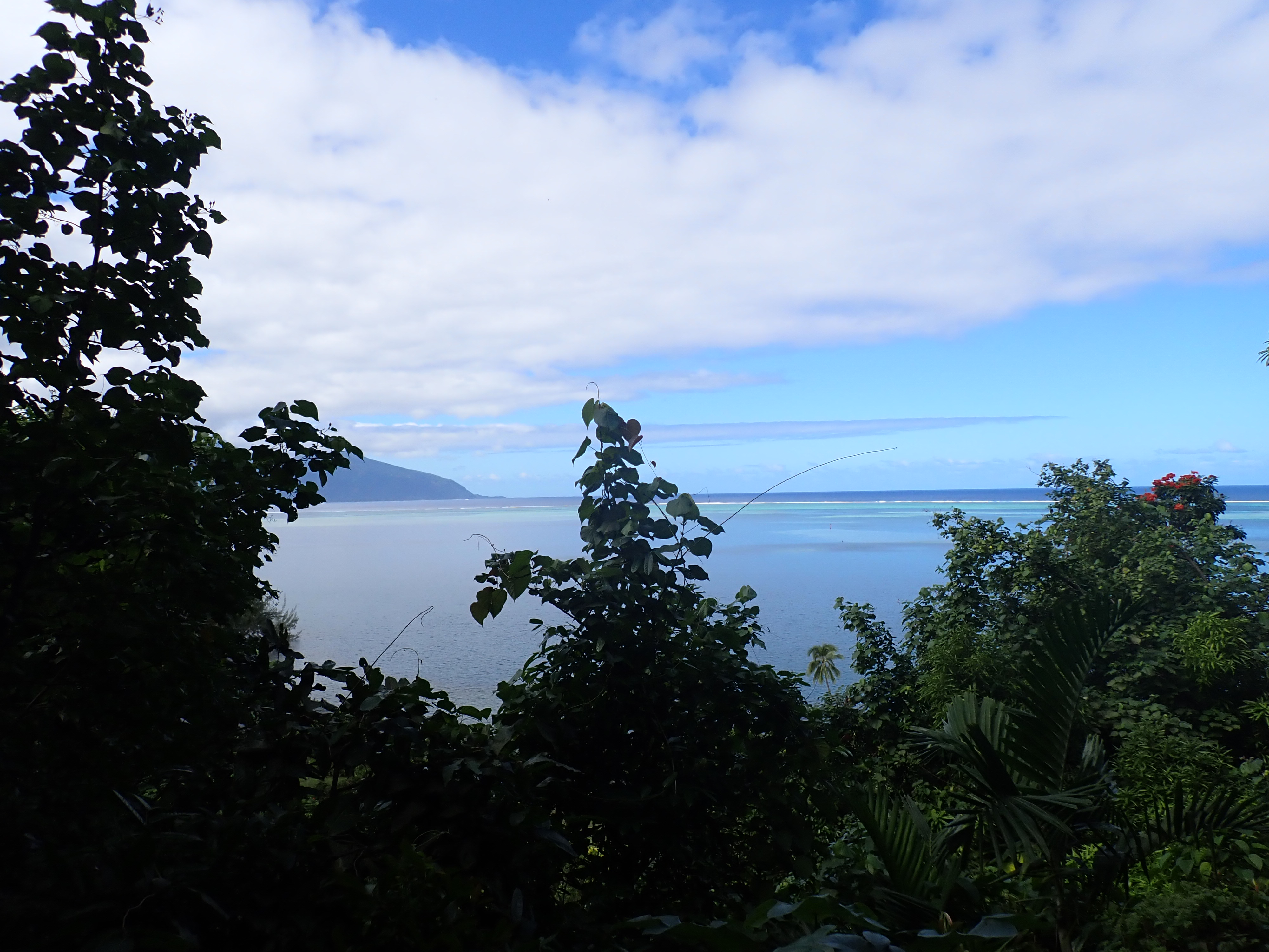 2022 Tahiti Taravao HXP - Day 12 (Church with Vaihiria Ward, Water Gardens Vaipahi Waterfall & Hike, Sacred Eels, Turtles, Haircut, Activity with Vaihiria Ward Youth, Averie's Birthday, Letters Home)