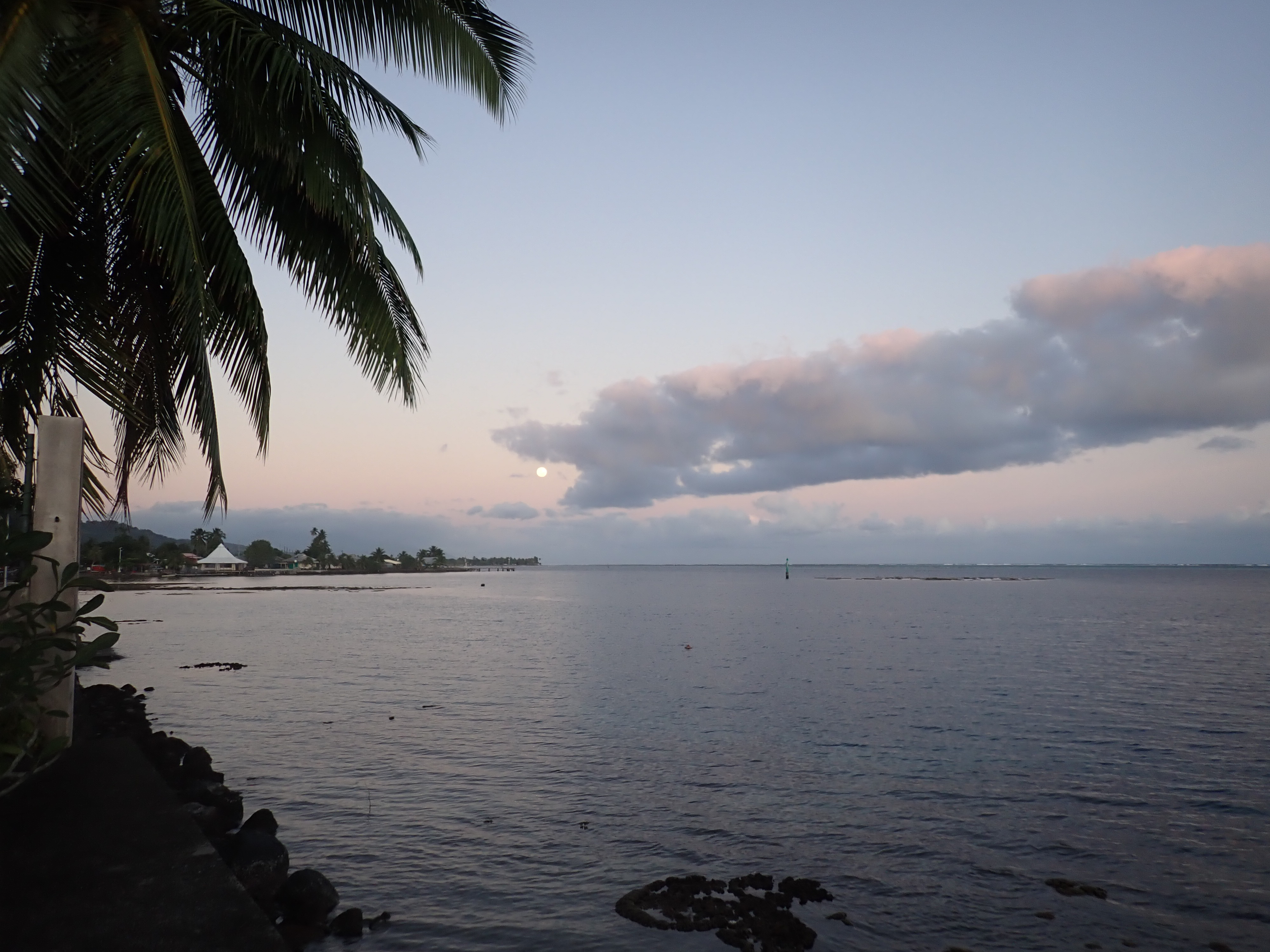 2022 Tahiti Taravao HXP - Day 13 (Work Site Day 6, National TV Station Shows Up to Film, Adding the Roof, Turtle Dies, Testimony Meeting with the Papara Ward & ❤ Bishop Taylor ❤, Shell Necklace Gifts, Tytan Teaching Spikeball (Spiceball!))