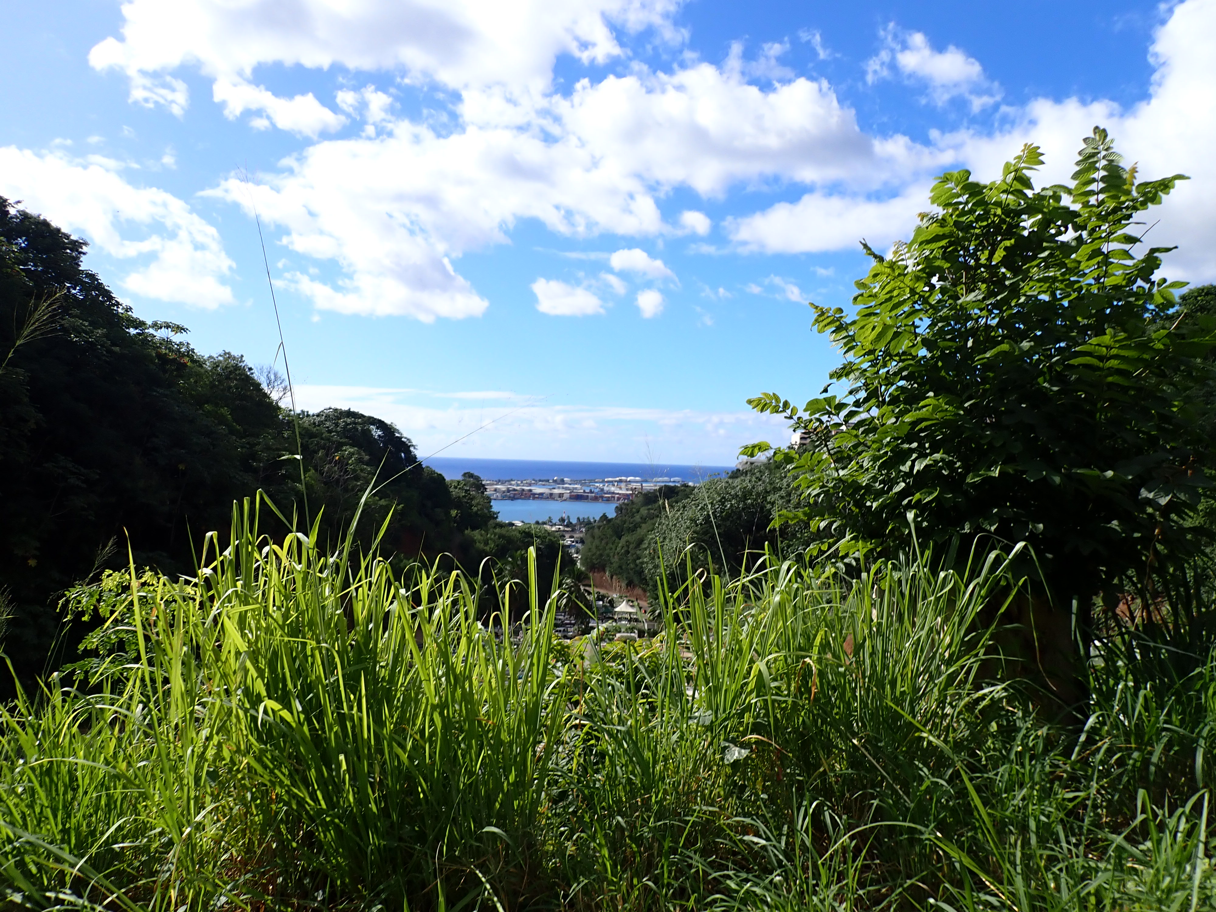 2022 Tahiti Taravao HXP - Day 14 (Cleaning up Papeete Urania Cemetery, Ordering 